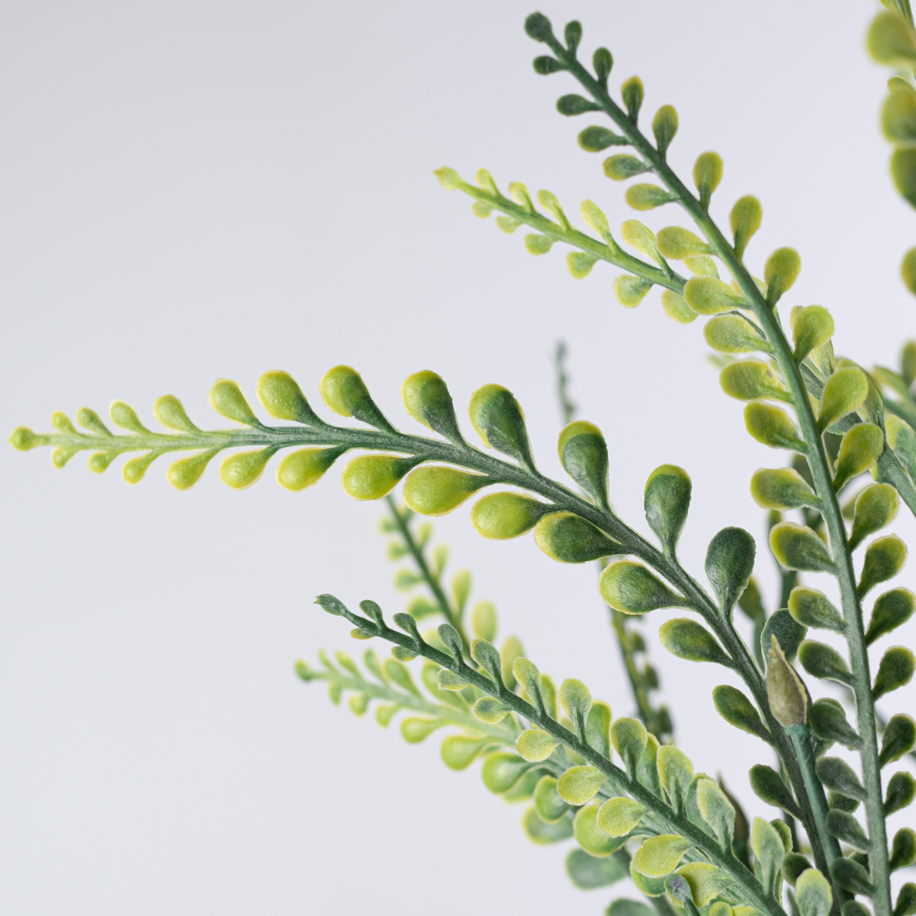 21" Plastic Button Fern Bush