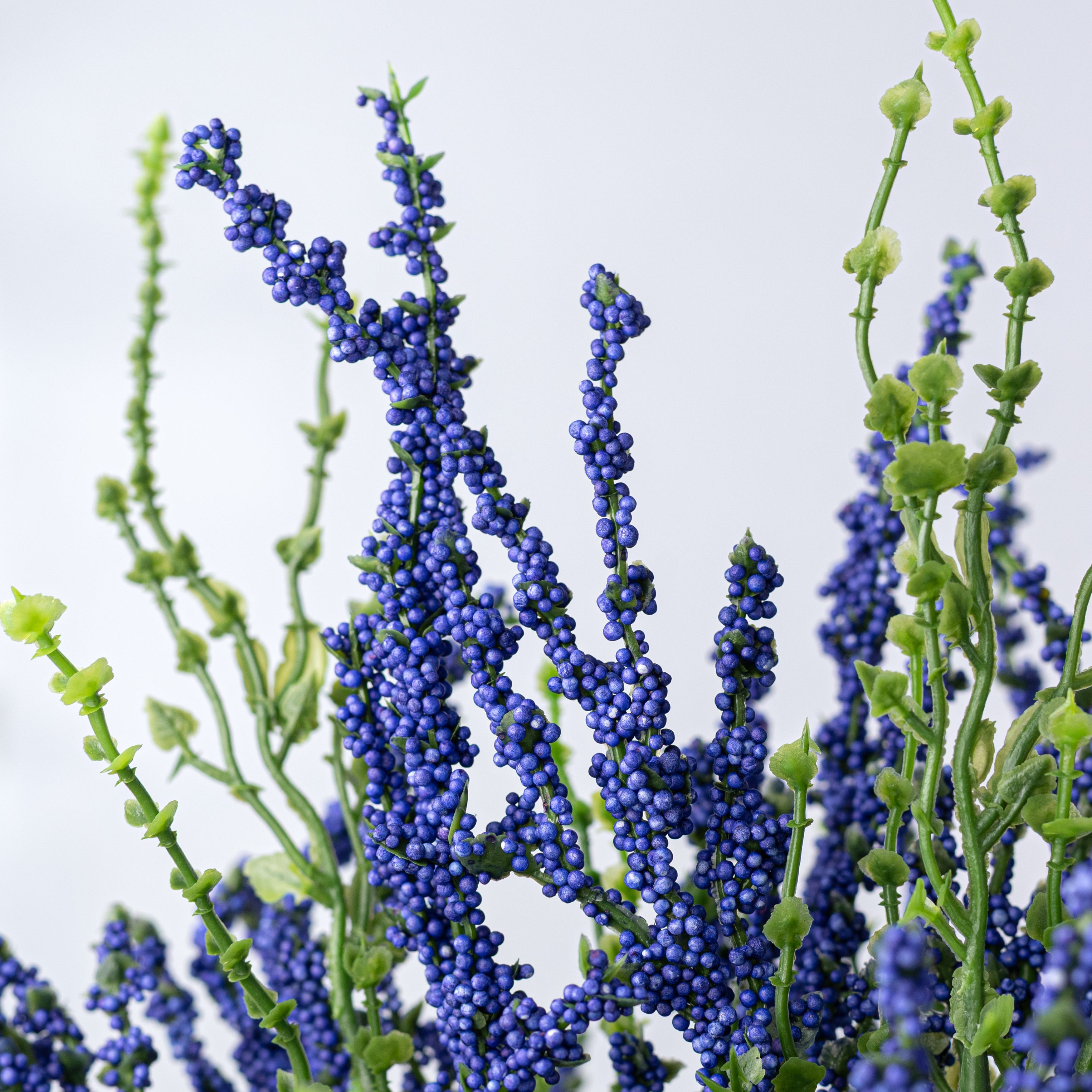 21" Erica Bush Seeded Heather: Indigo Blue (12 Stem)