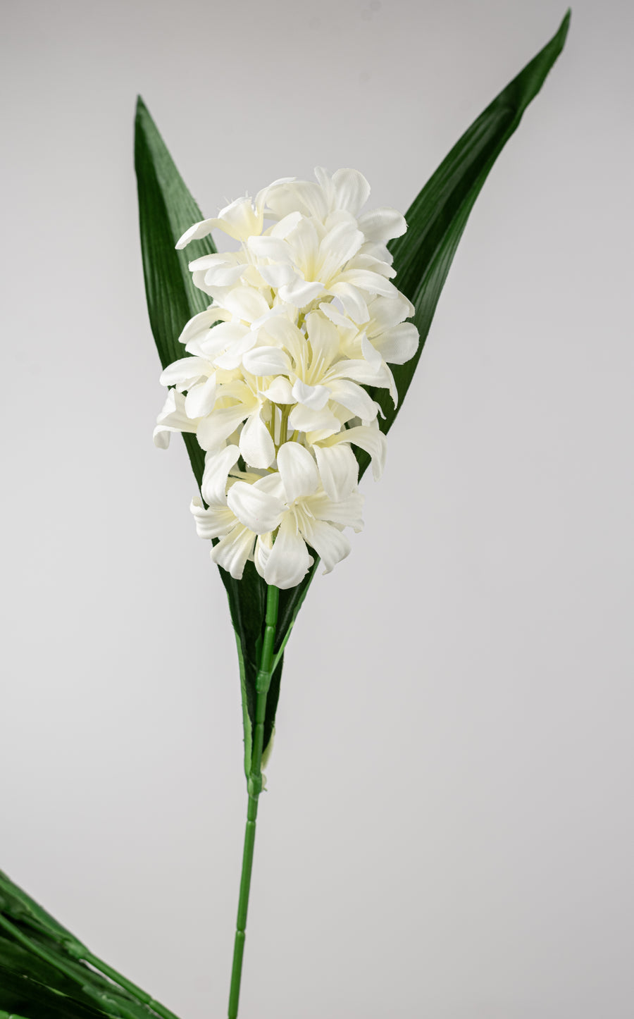 21" Satin Hyacinth Bush: Cream (7 Stem)