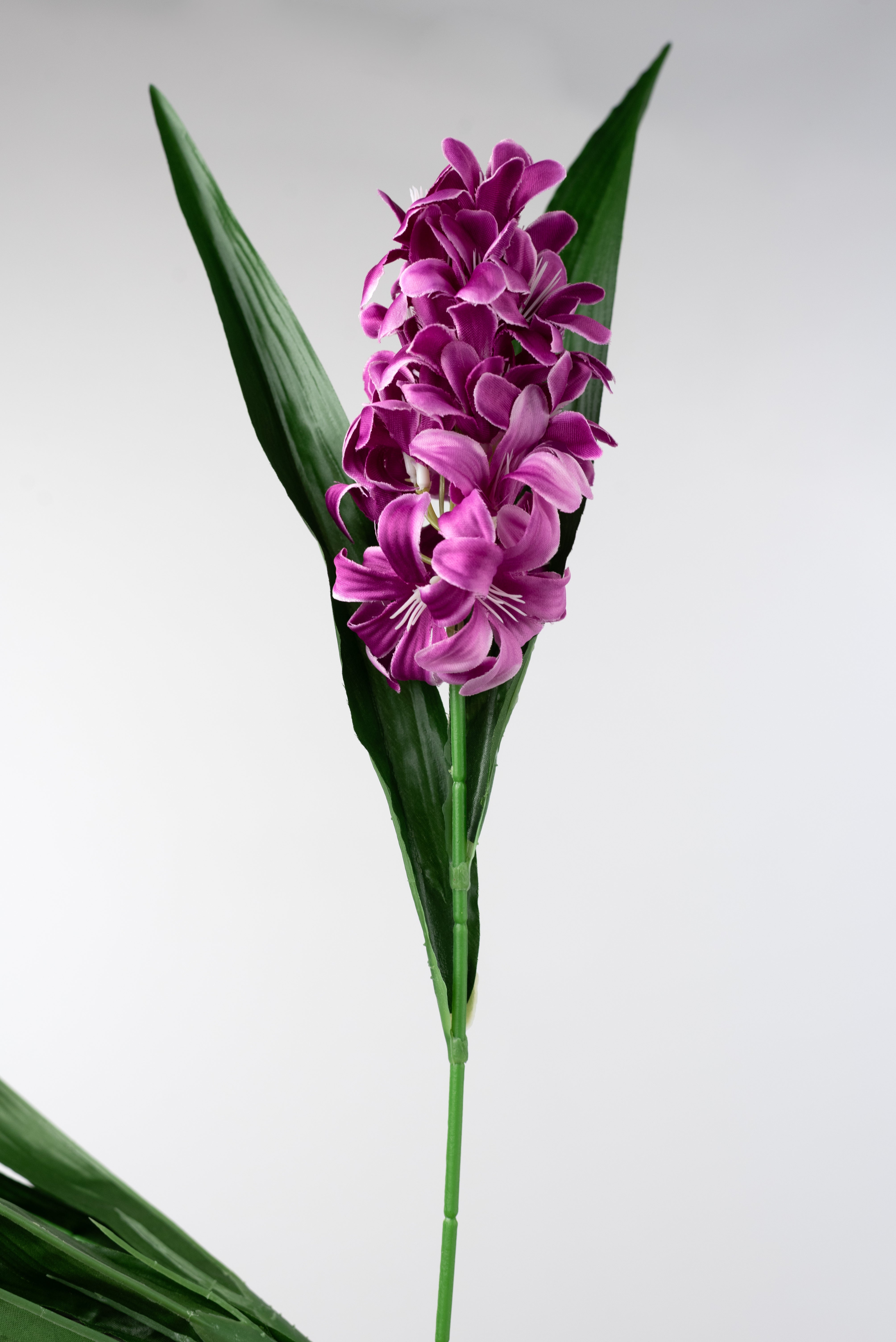 21" Satin Hyacinth Bush: Fuchsia (7 Stem)
