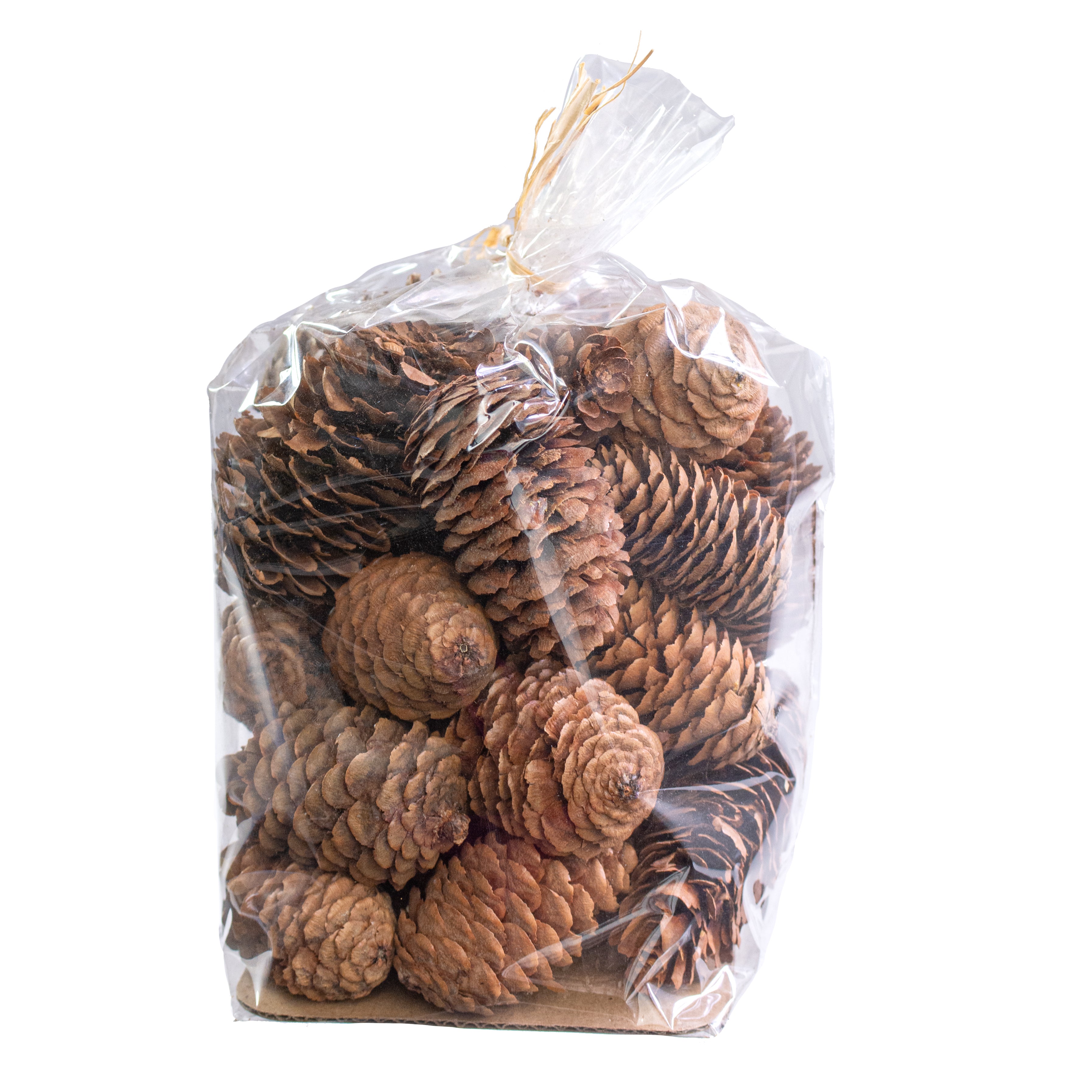 Bag Of Dried Pinecones: Natural