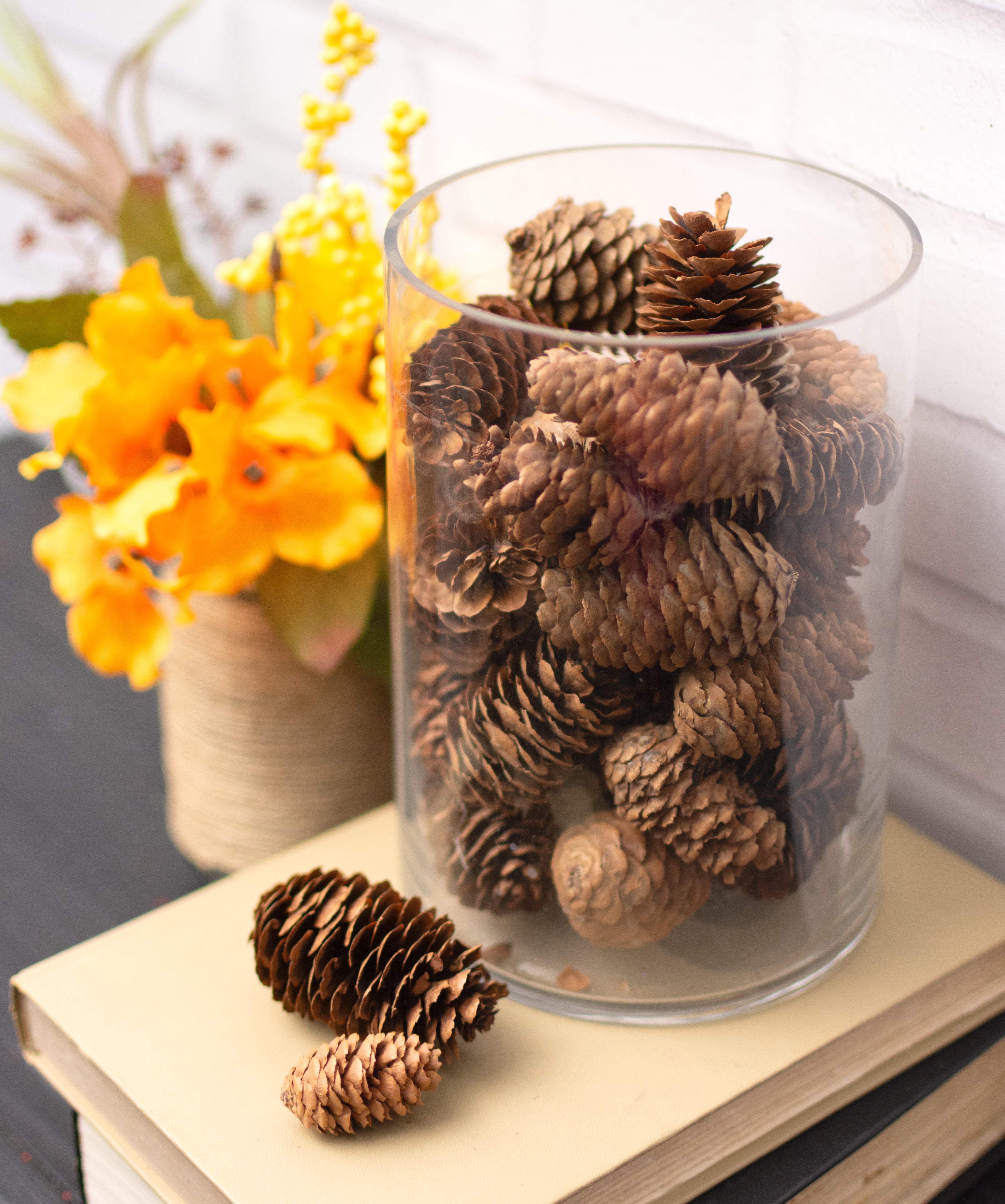 Bag Of Dried Pinecones: Natural