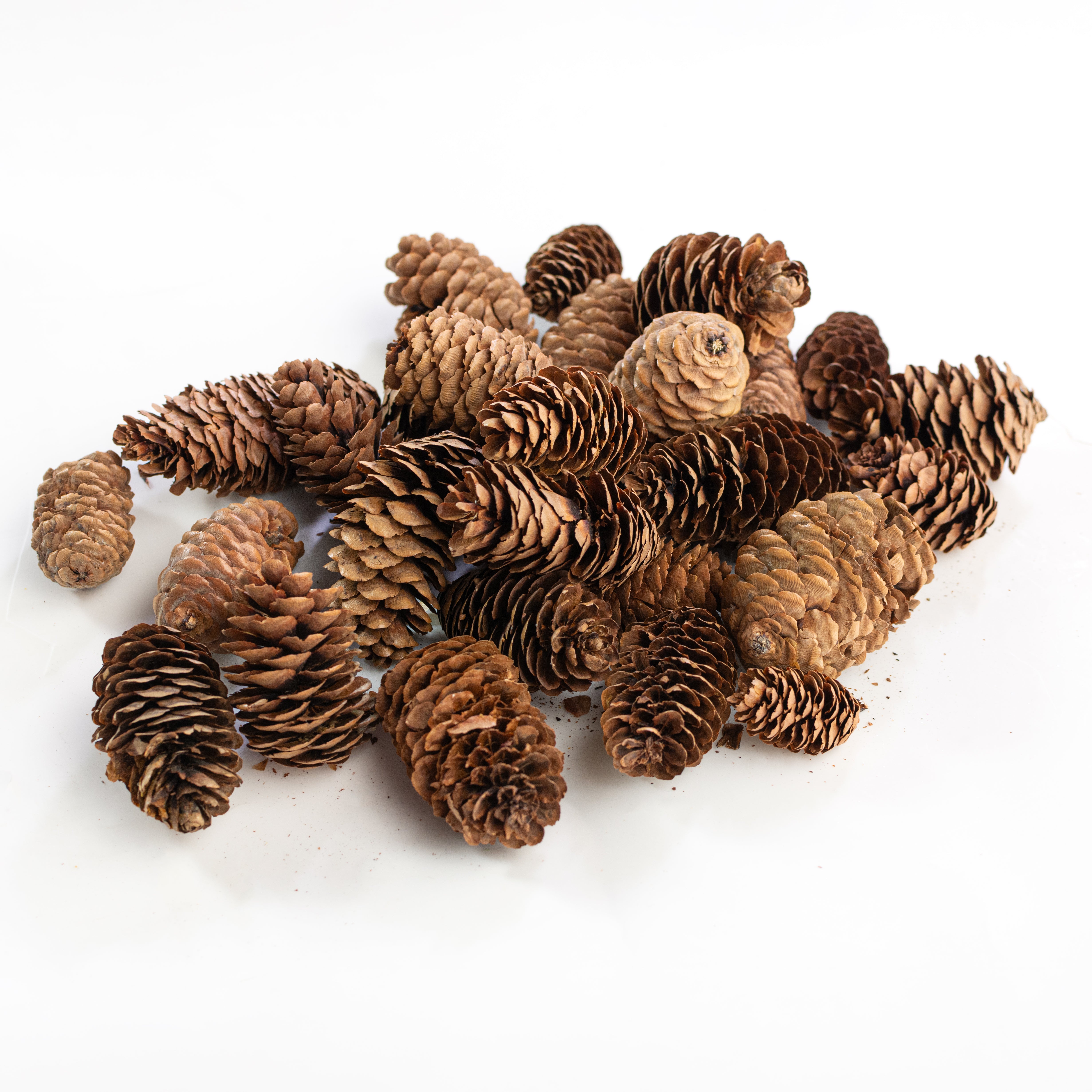 Bag Of Dried Pinecones: Natural