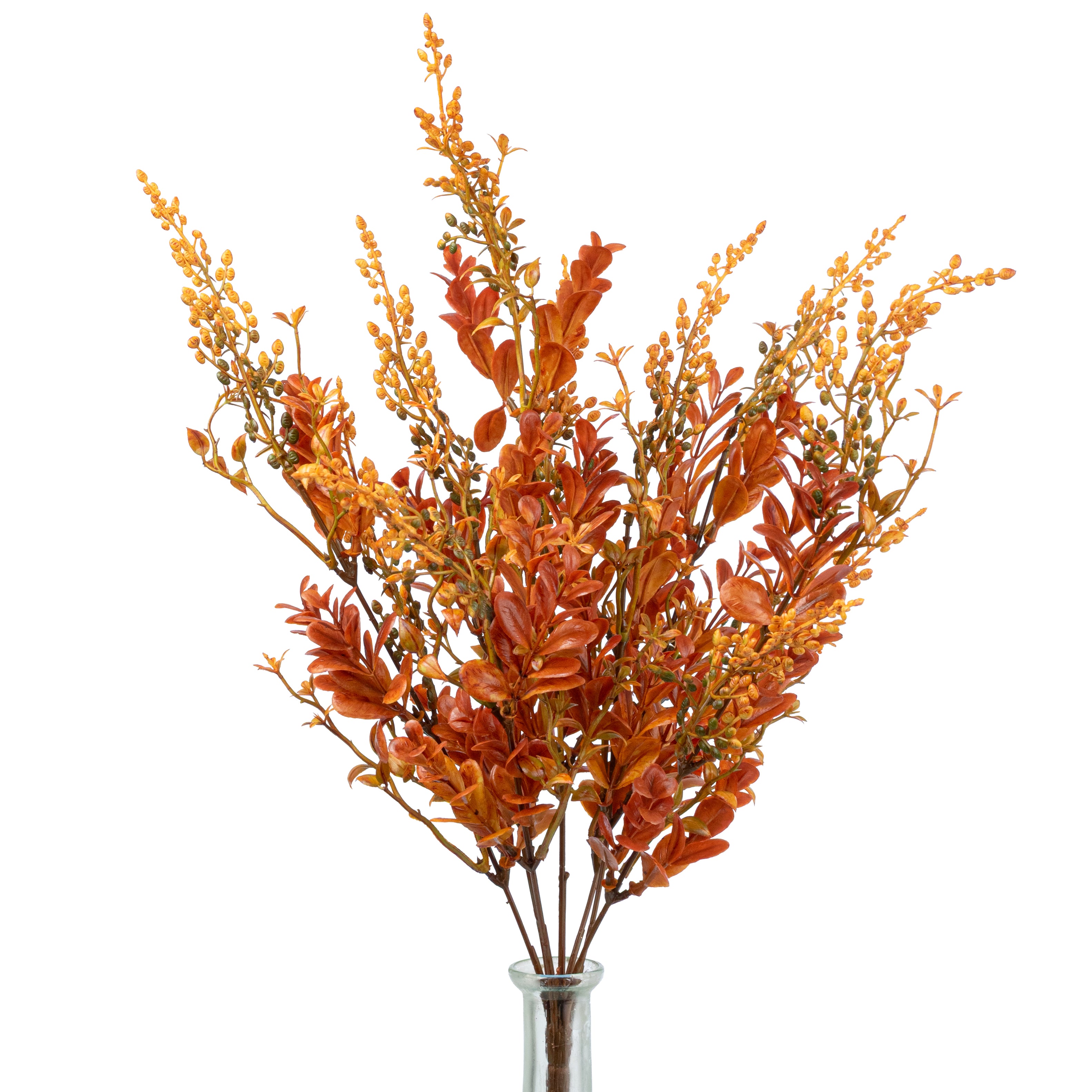 20" Boxwood Sedum Bush: Yellow & Brown