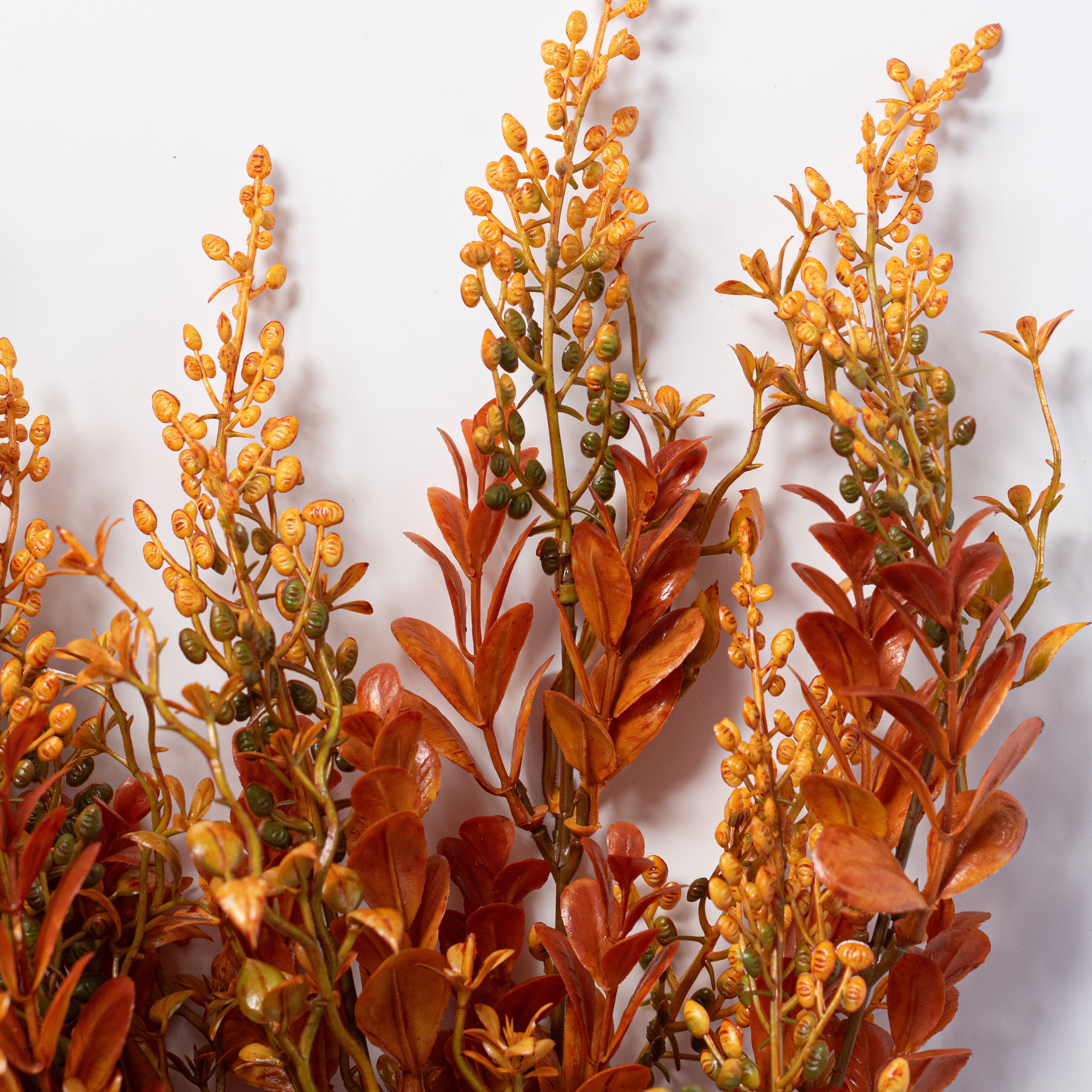20" Boxwood Sedum Bush: Yellow & Brown