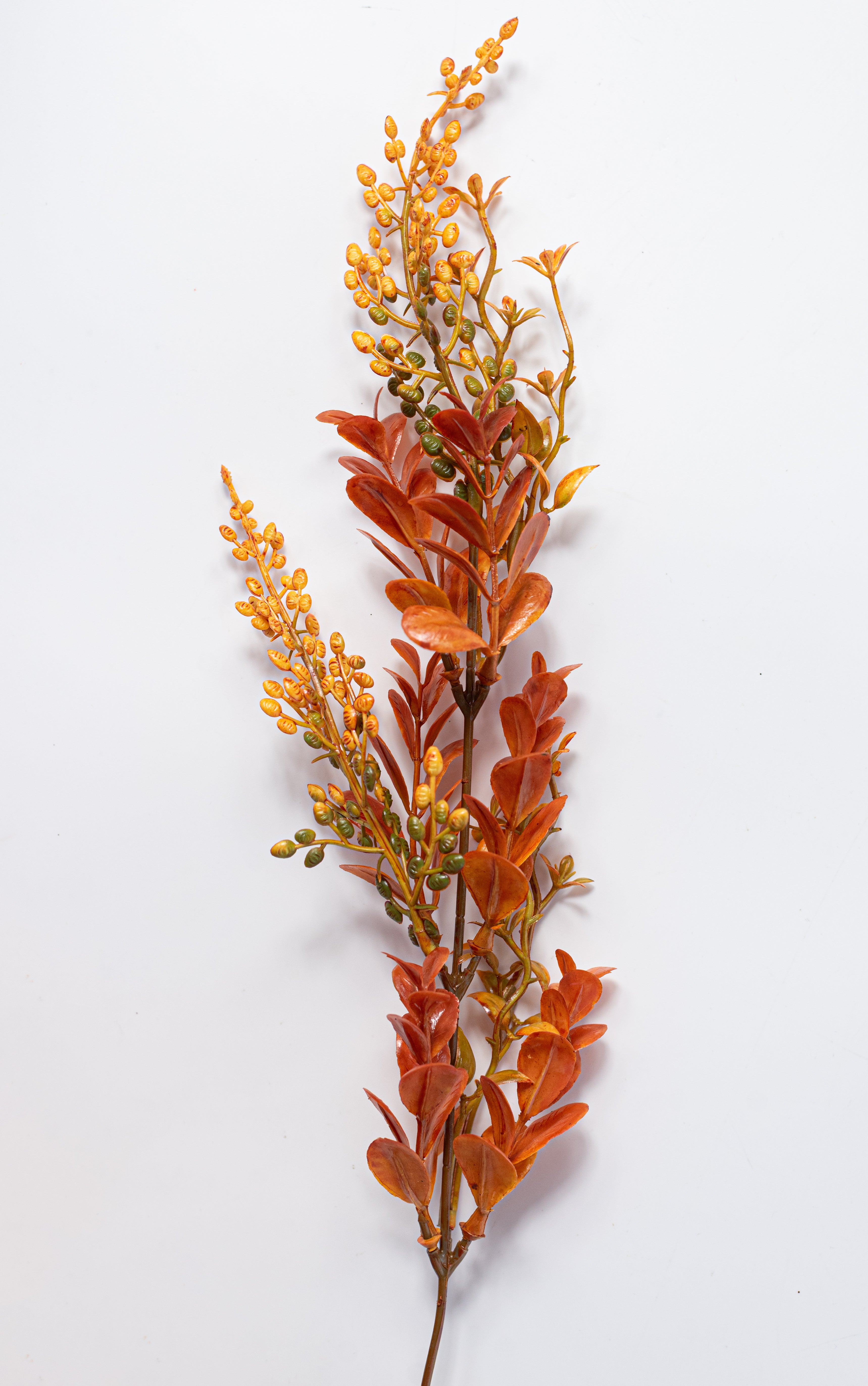 20" Boxwood Sedum Bush: Yellow & Brown
