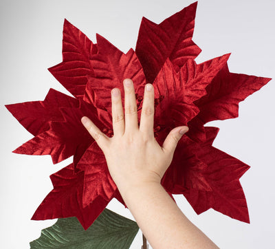 24" Jumbo Poinsettia Stem: Red