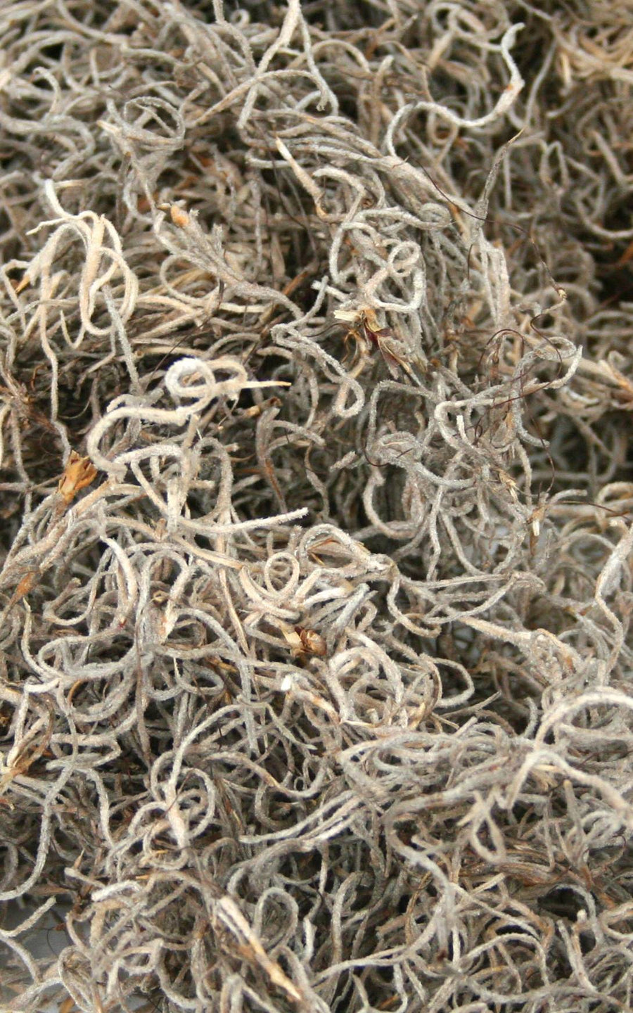 Natural Spanish Moss: 500 Cubic Inch Bag