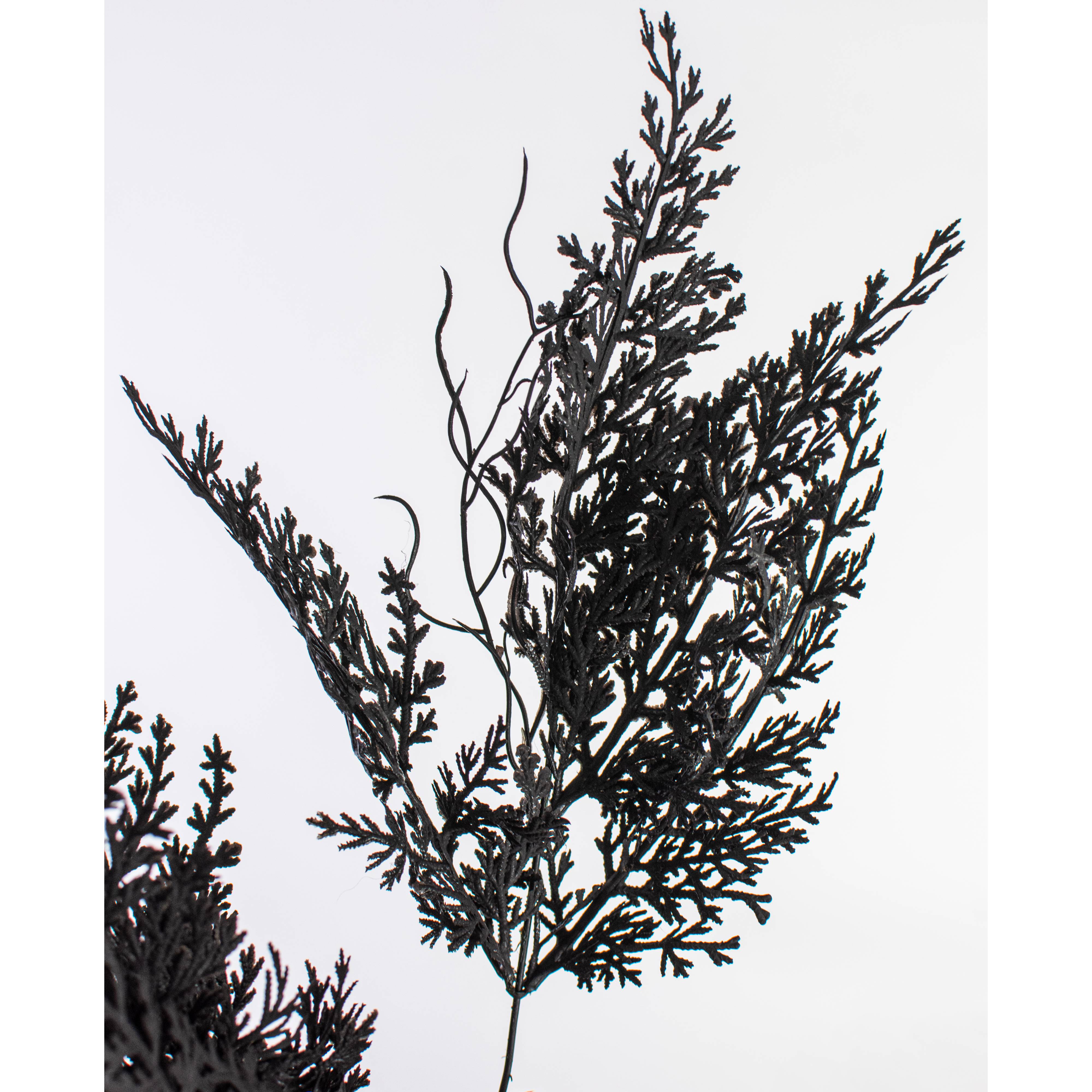 19" Fern Leaves Filler Bush: Black