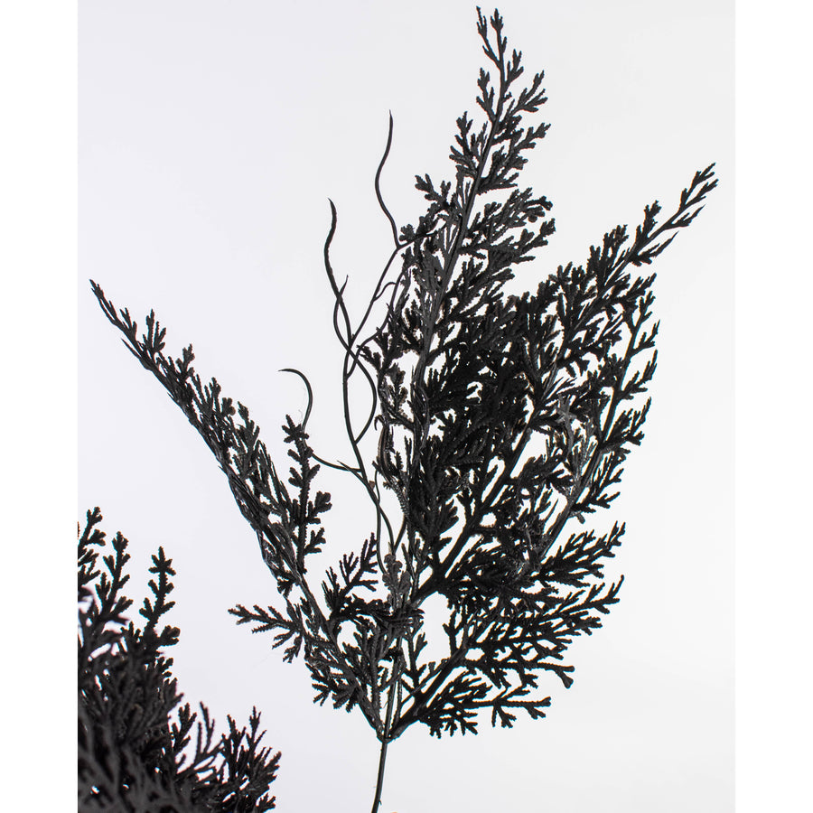 19" Fern Leaves Filler Bush: Black