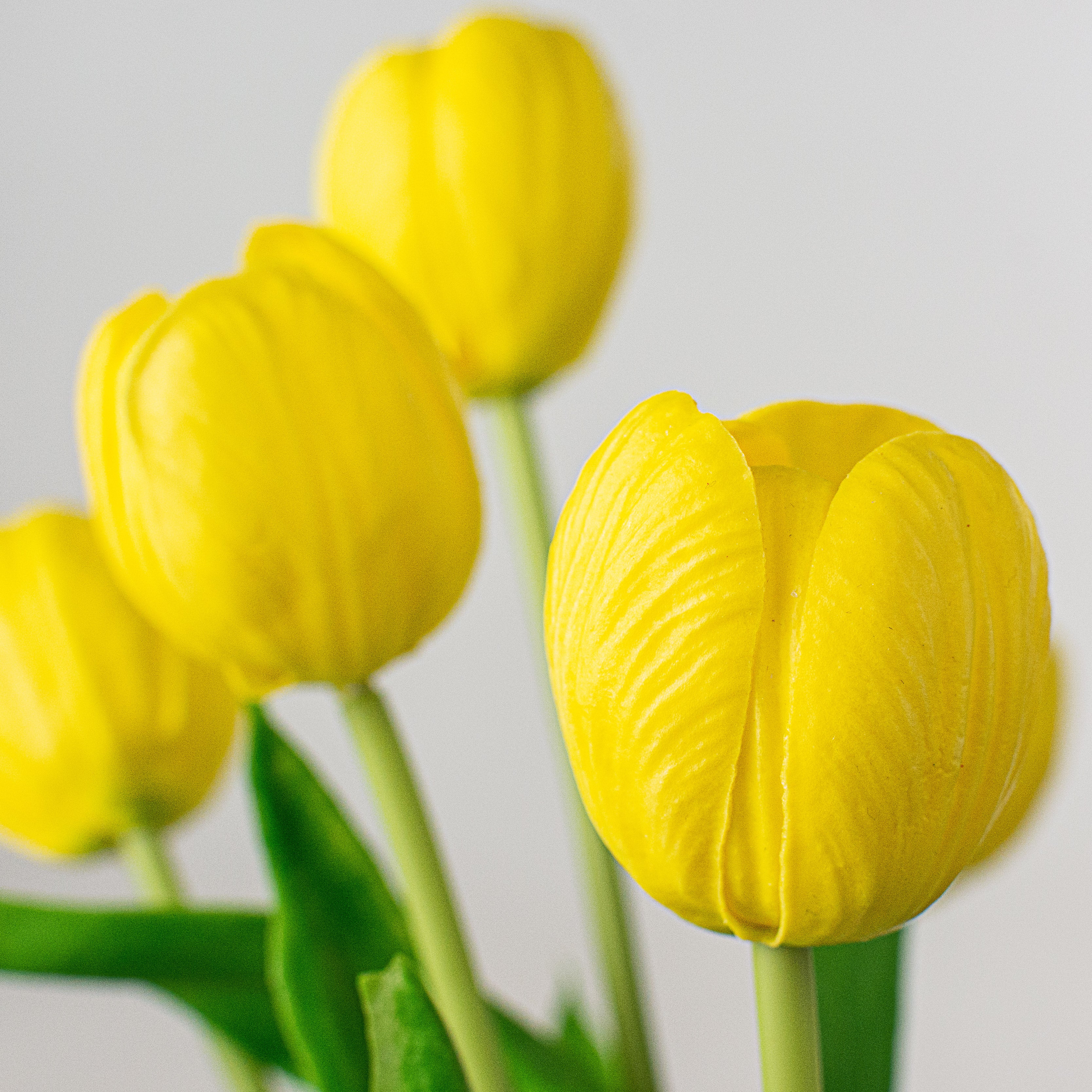 13" Realistic Touch Tulip Bouquet: Yellow (5)