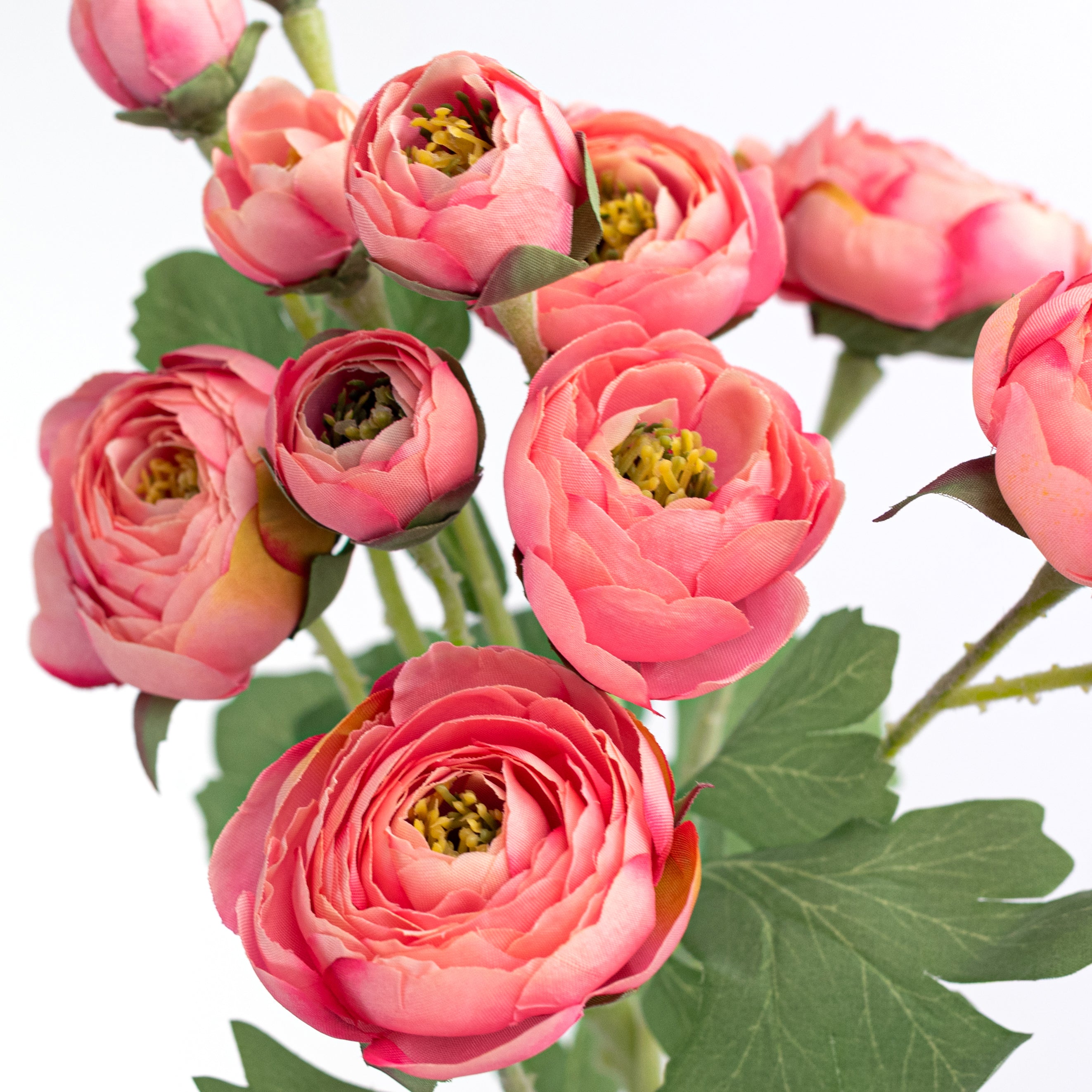 21" Ranunculus Spray: Coral Pink