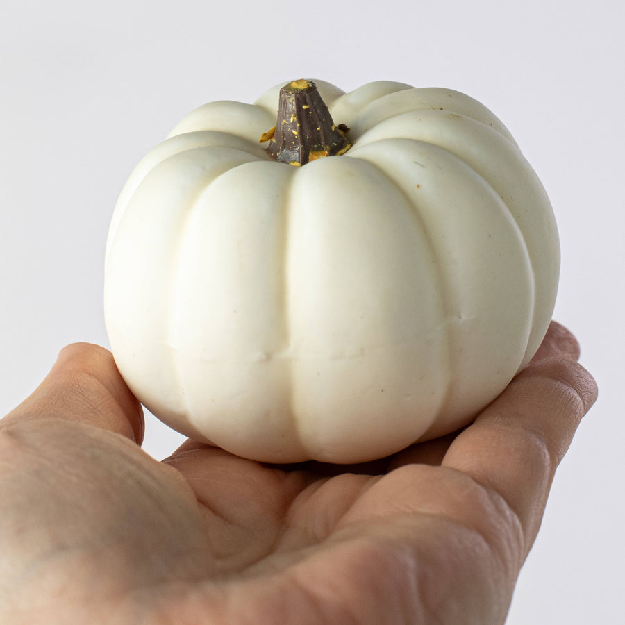 Assorted Mini Artificial Pumpkins & Gourds: White / Cream (Bag of 12)