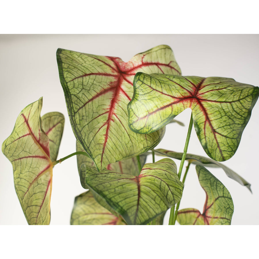 17" Artificial Caladium Plant: Green & Burgundy