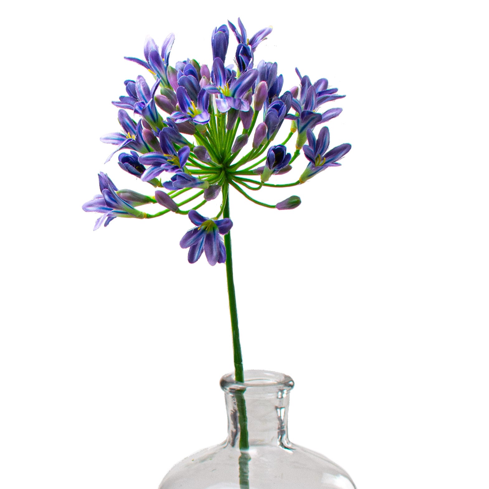 29" Agapanthus Flower Stem: Purple Item Number: 147629