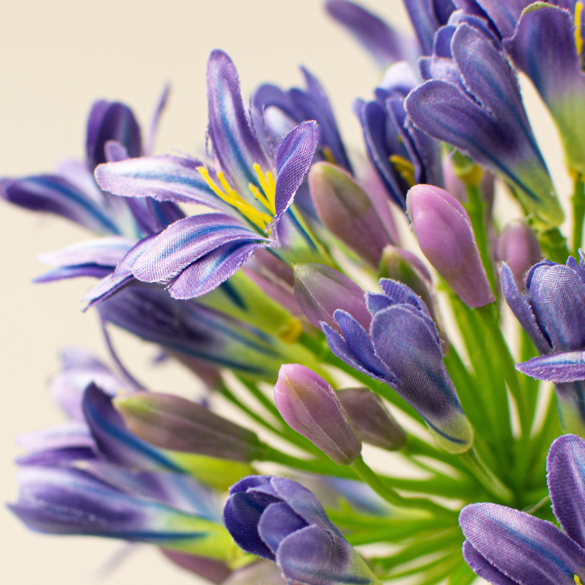 29" Agapanthus Flower Stem: Purple Lifestyle Photo
