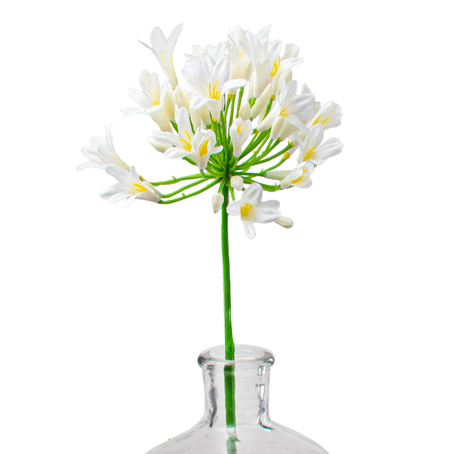 29" Agapanthus Flower Stem: White Item Number: 147627