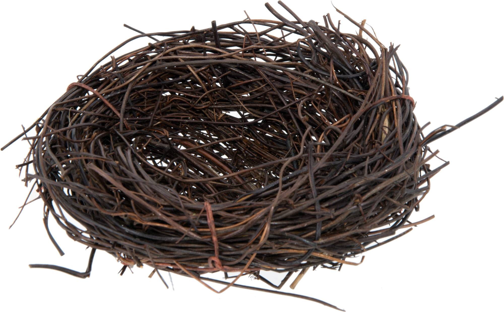 5" Angel Vine Bird Nest Lifestyle Photo