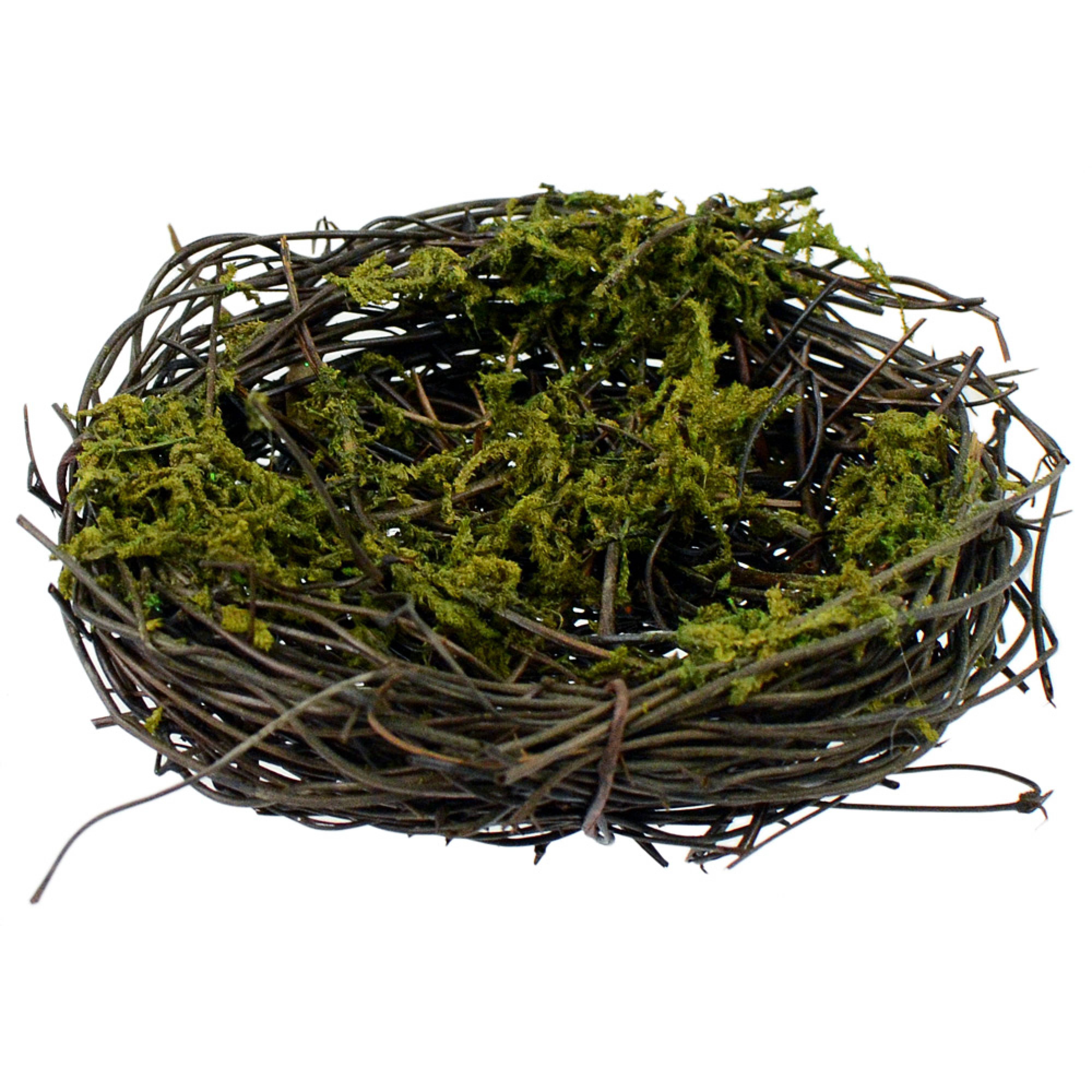 3" Angel Vine Mossy Bird Nest Lifestyle Photo