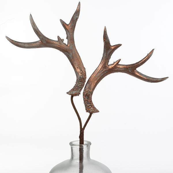 Antler 4 Light Single Tier Whitetail Antler Chandelier
