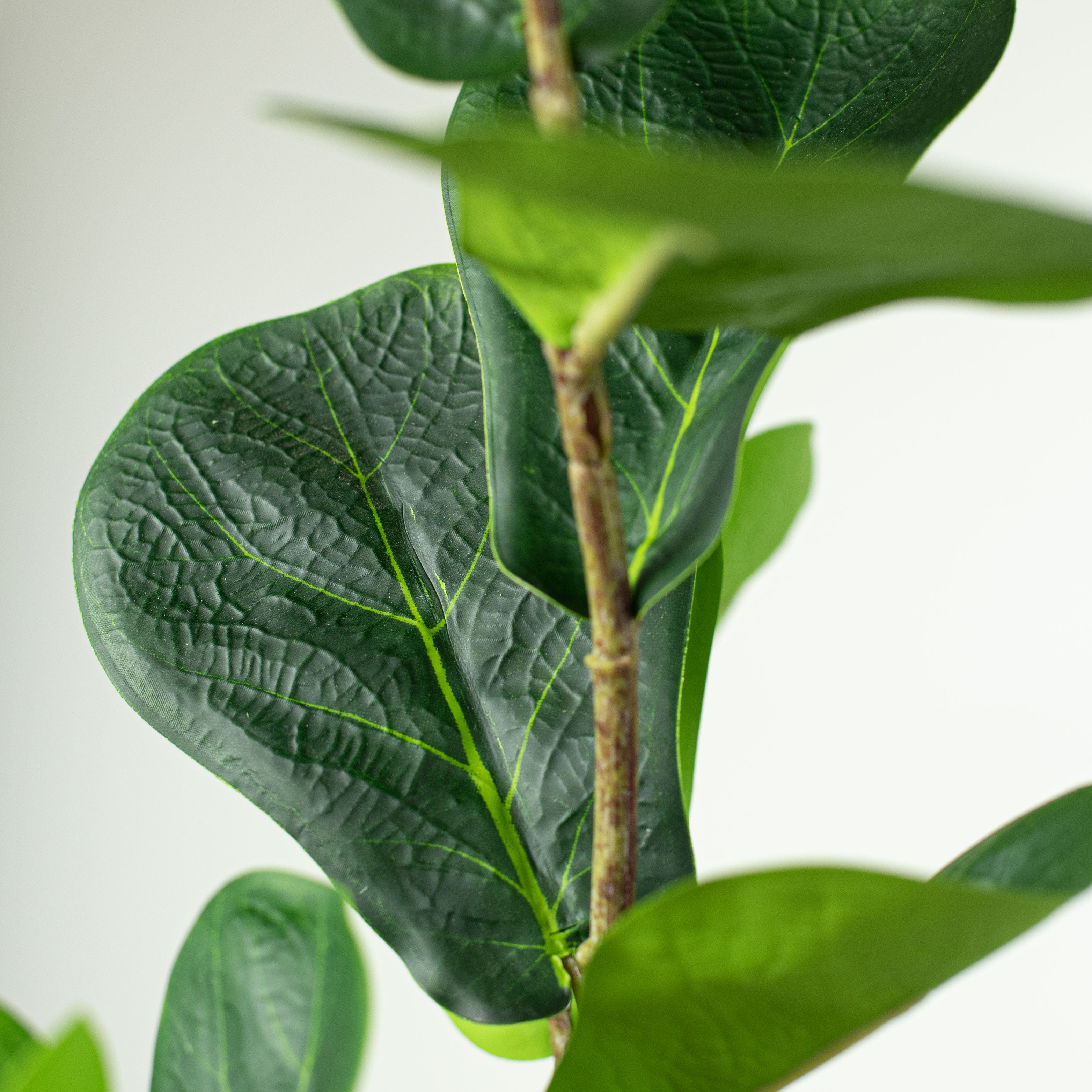 28" Artificial Fiddle Leaf Fig Branch/Spray Lifestyle Photo