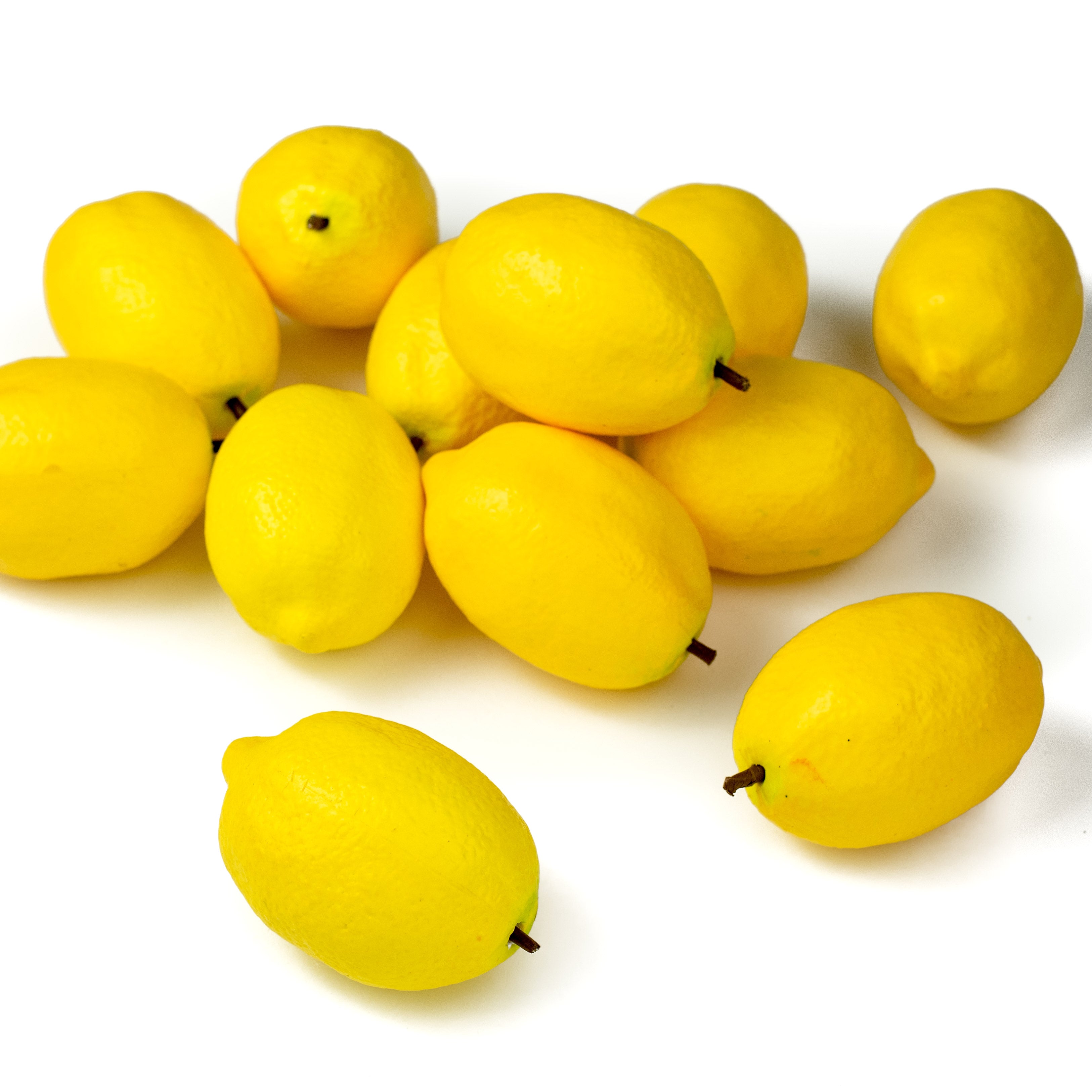 Lemonplet レモンプレット ロンハーマン別注 エコファー イエロー S artificial-lemons-ef315529.jpg