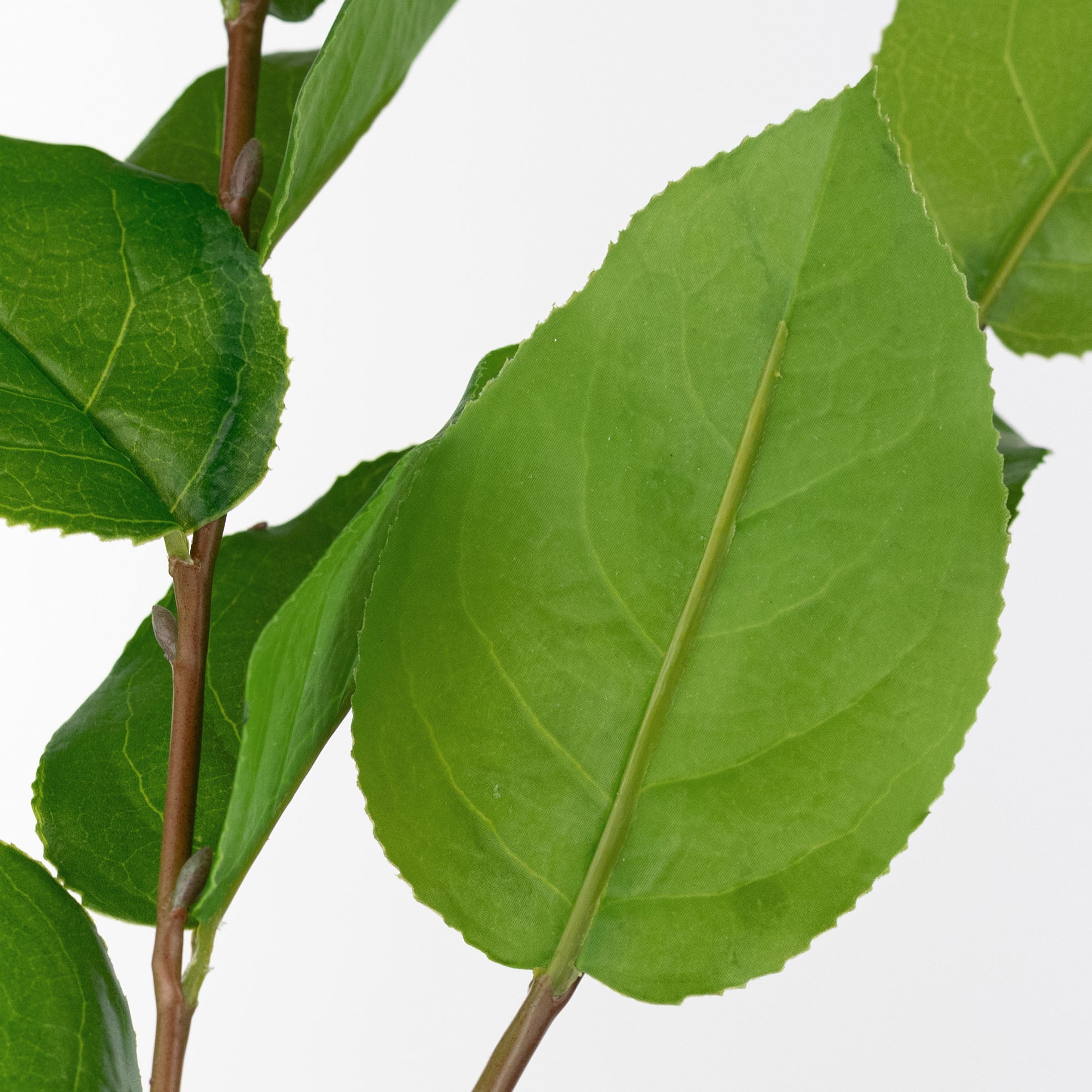 45" Artificial Salal Leaves (Lemon Leaf) Spray detail photo 4