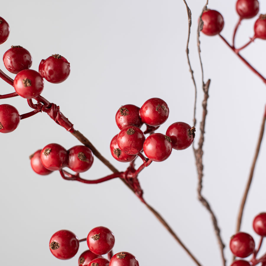 19" Ash Berries Wispy Twig Spray: Red Lifestyle Photo