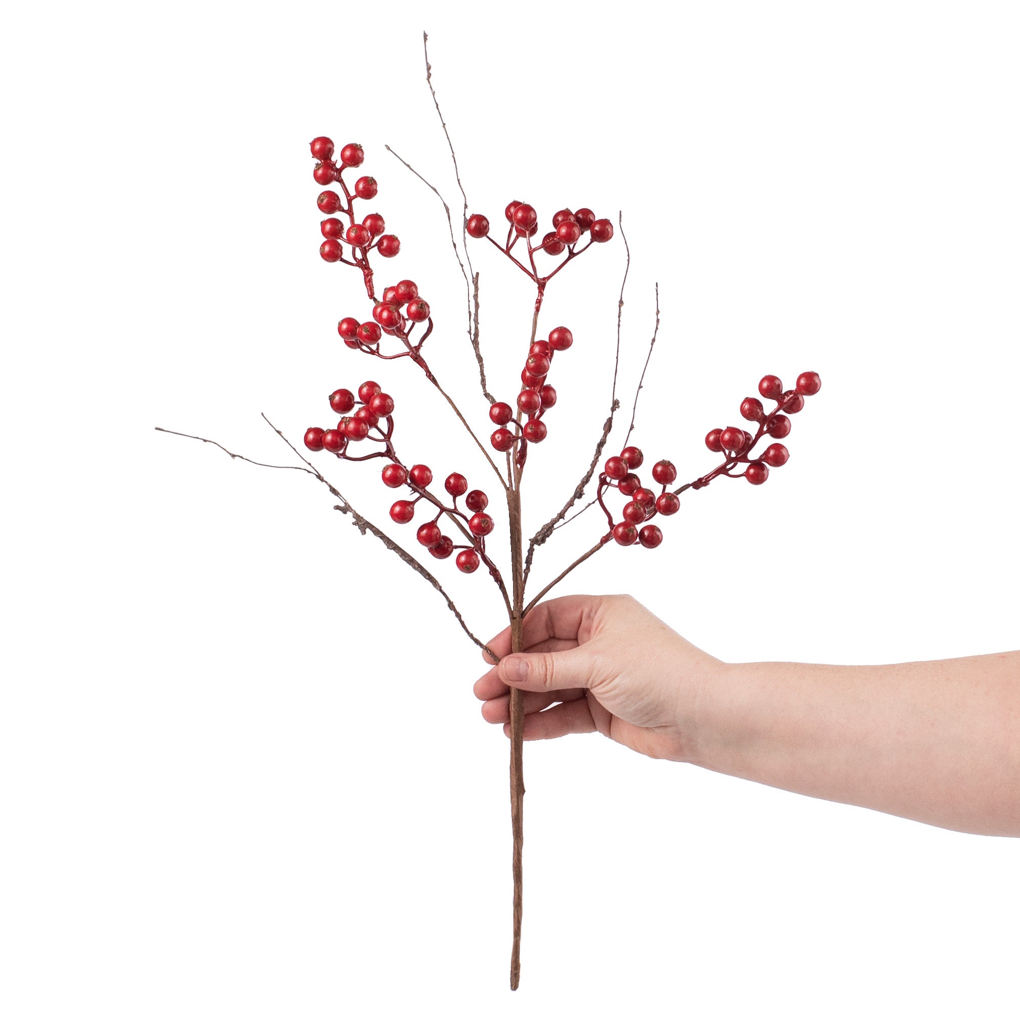 19" Ash Berries Wispy Twig Spray: Red detail photo 3