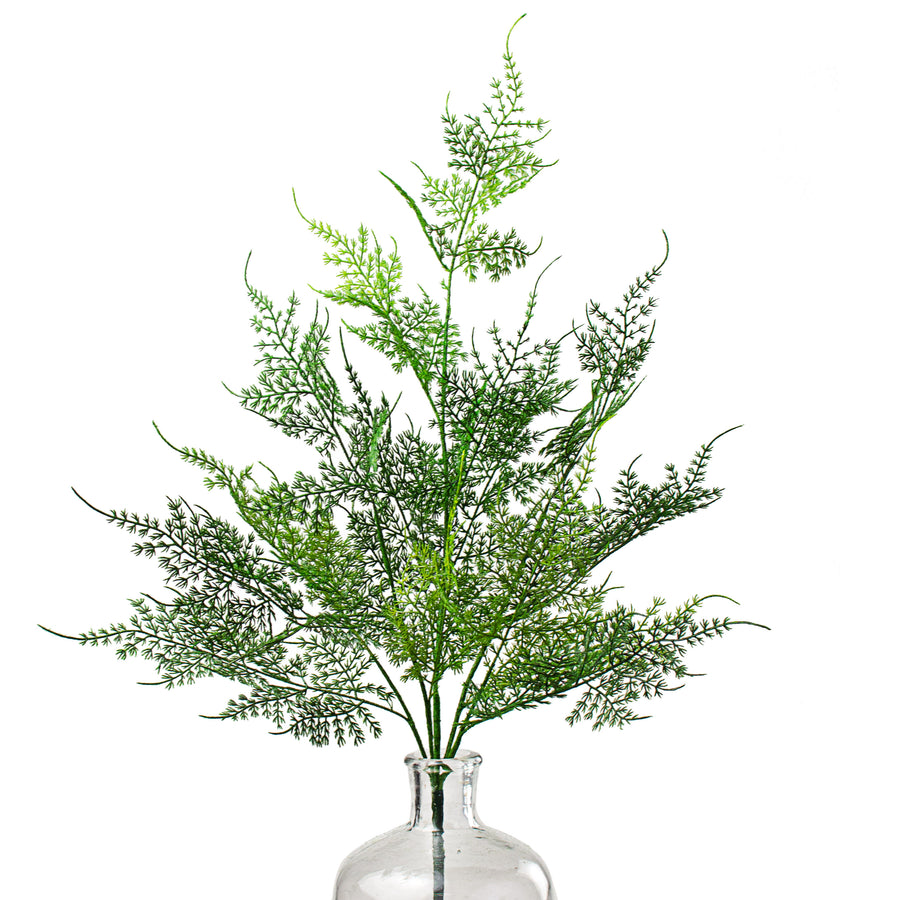 21" Asparagus Fern Bush Item Number: 148223