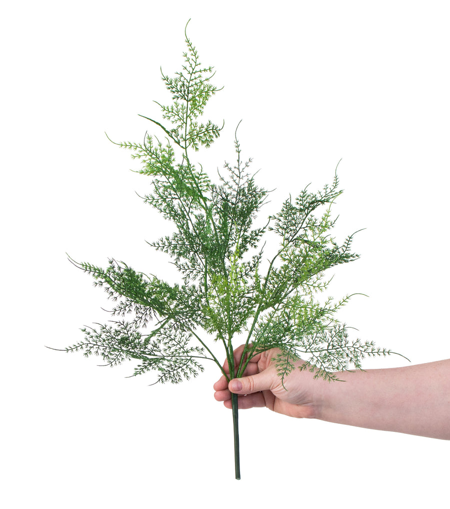 21" Asparagus Fern Bush detail photo 3