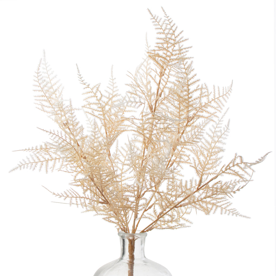 18" Asparagus Fern Bush: Cream Item Number: FG642435