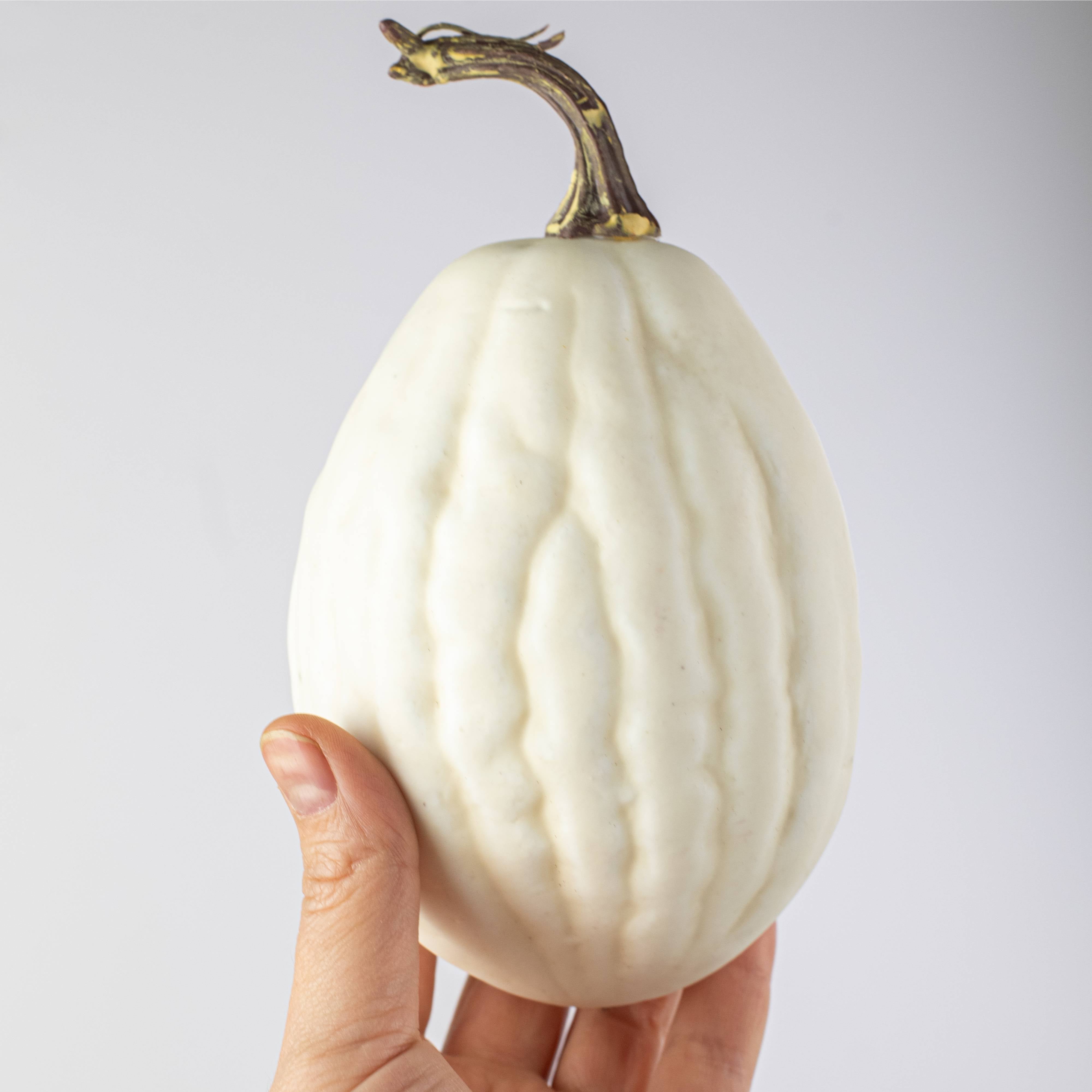 Assorted Medium Artificial Pumpkins & Gourds: White / Cream (Bag of 8)