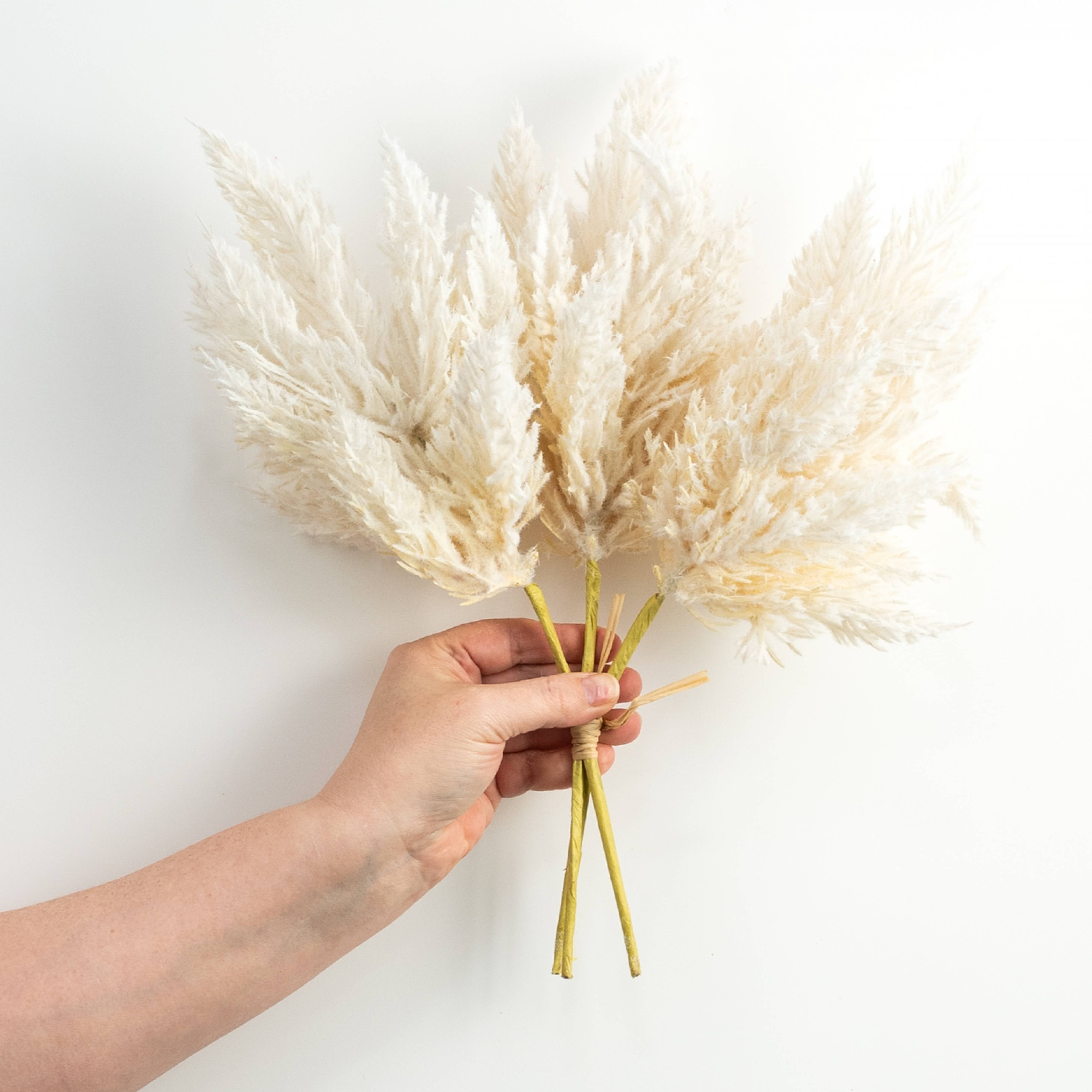 14" Astilbe Bundle: Cream detail photo 3