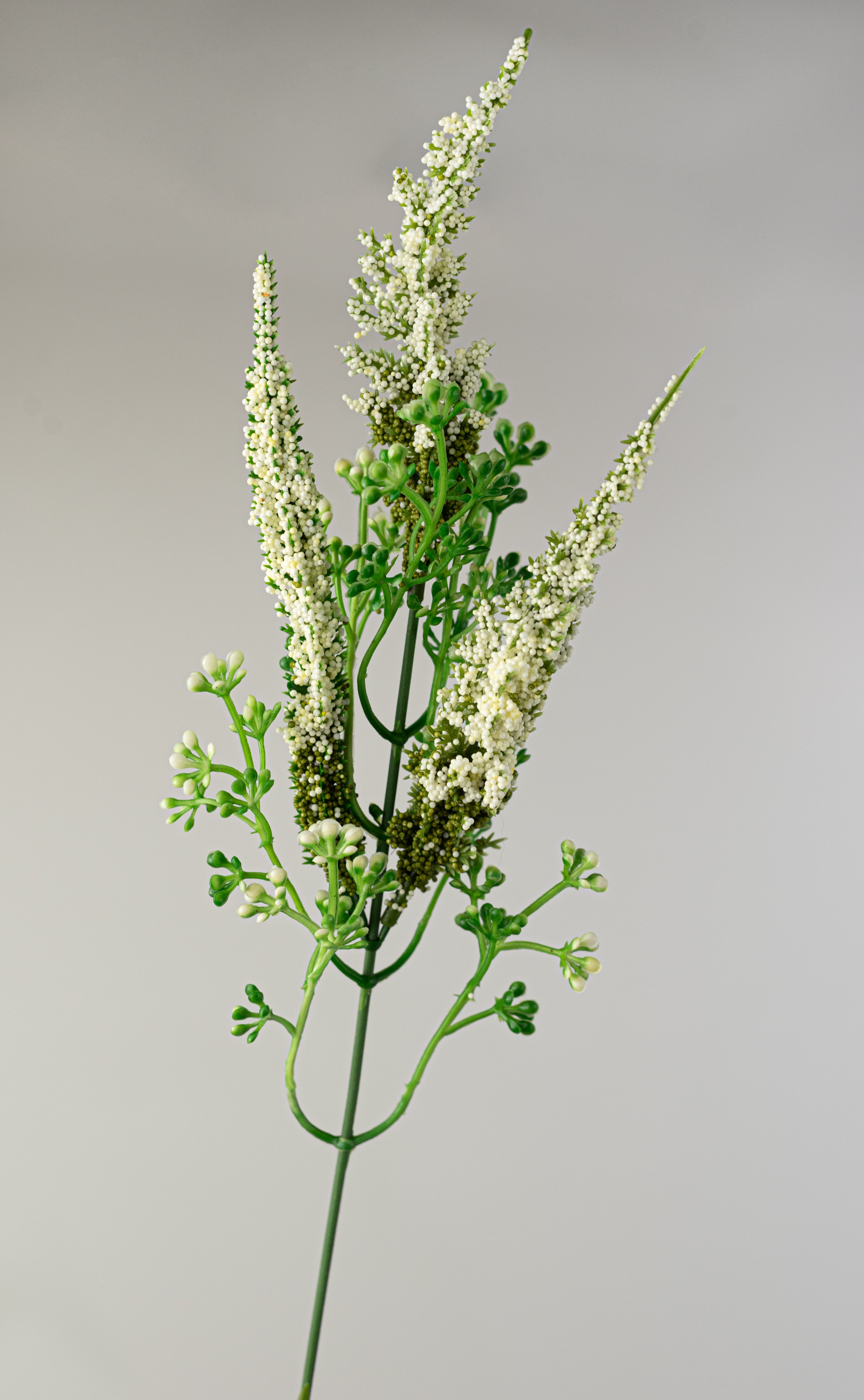 20" Astilbe Flower Bush: Cream Lifestyle Photo