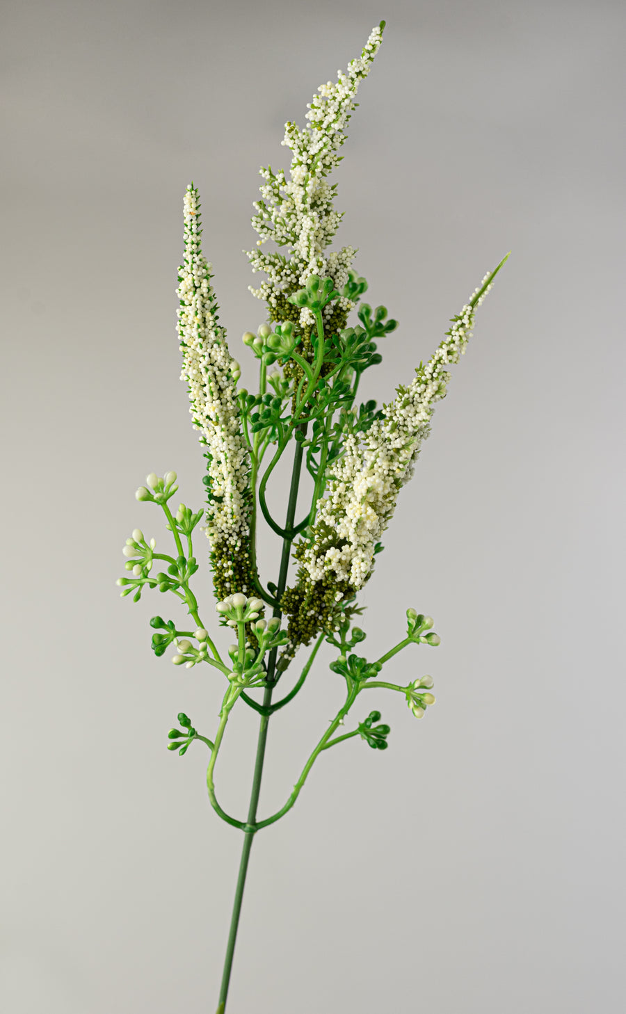 20" Astilbe Flower Bush: Cream Lifestyle Photo
