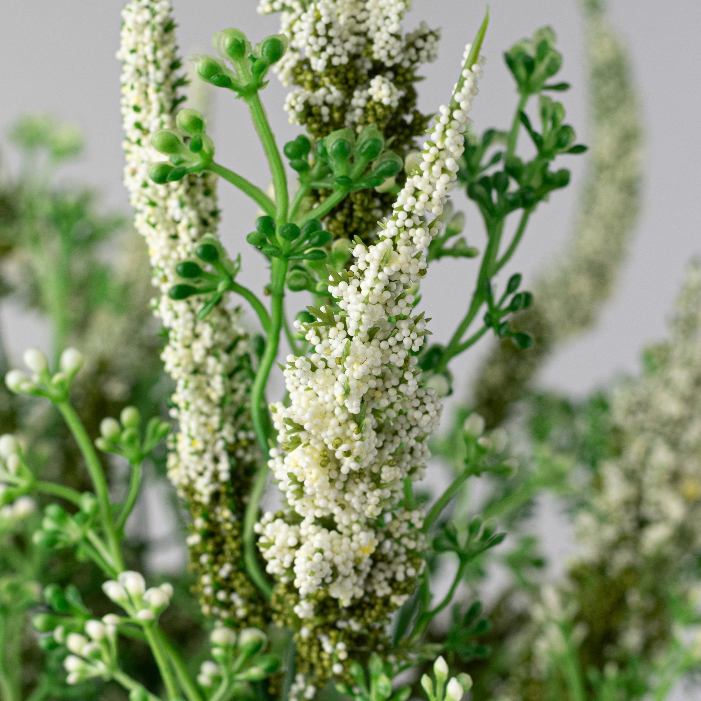 20" Astilbe Flower Bush: Cream detail photo 4