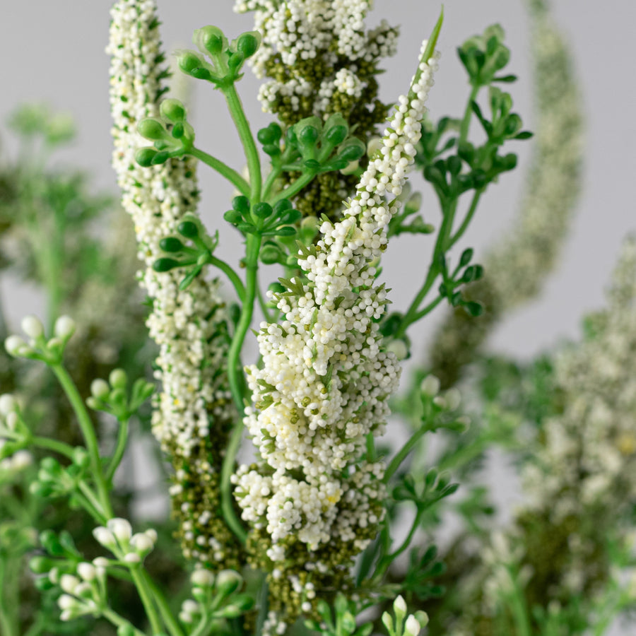 20" Astilbe Flower Bush: Cream detail photo 4