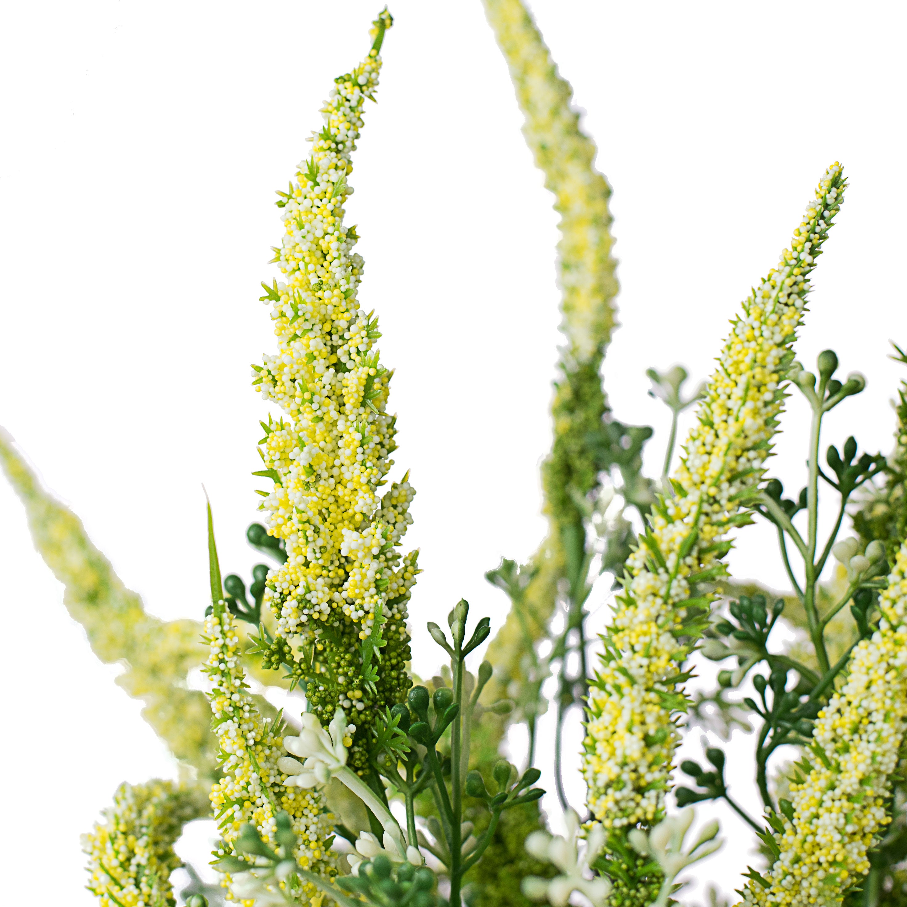 20" Astilbe Flower Bush: Yellow detail photo 3