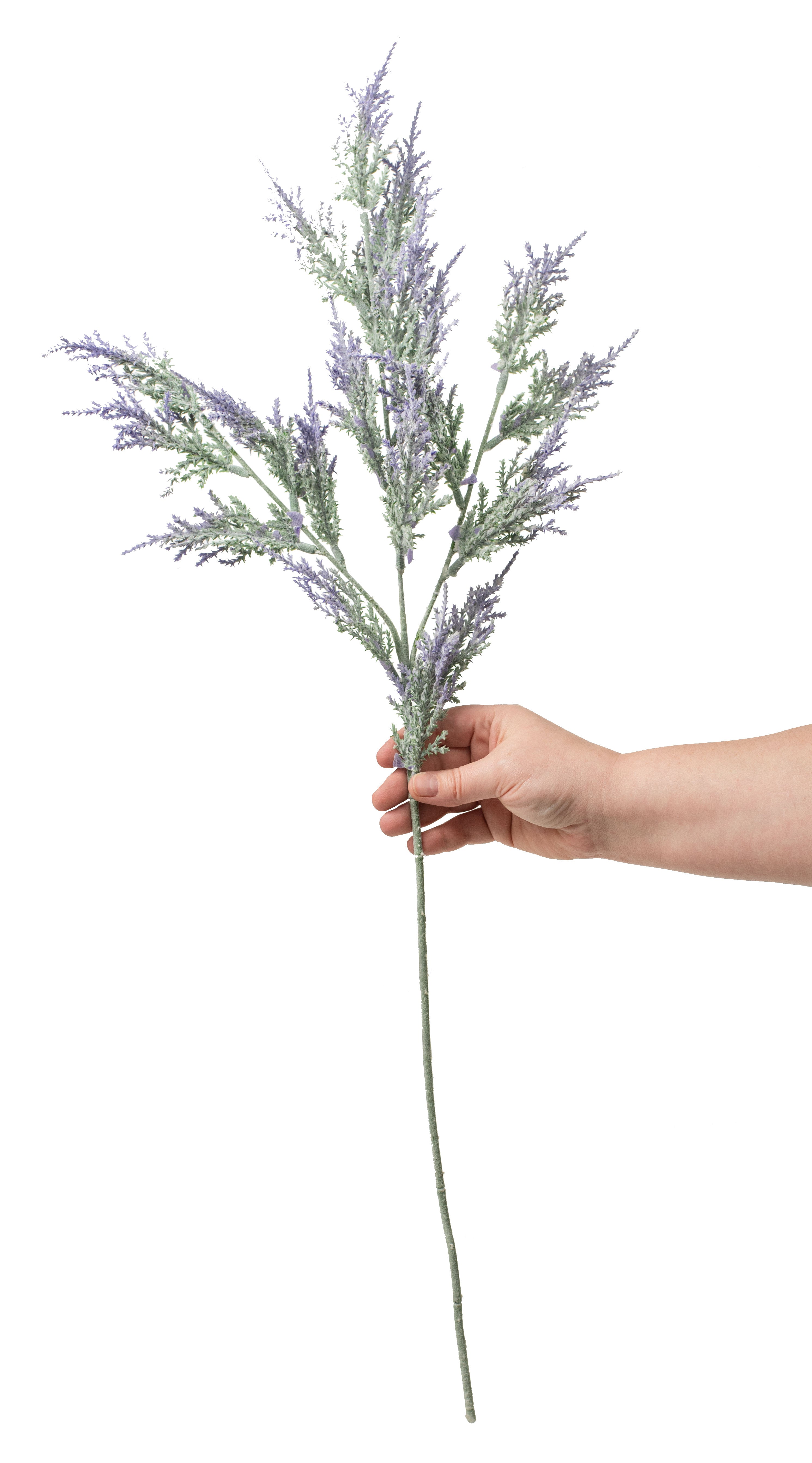 29" Astilbe Flower Stem: Lavender detail photo 3