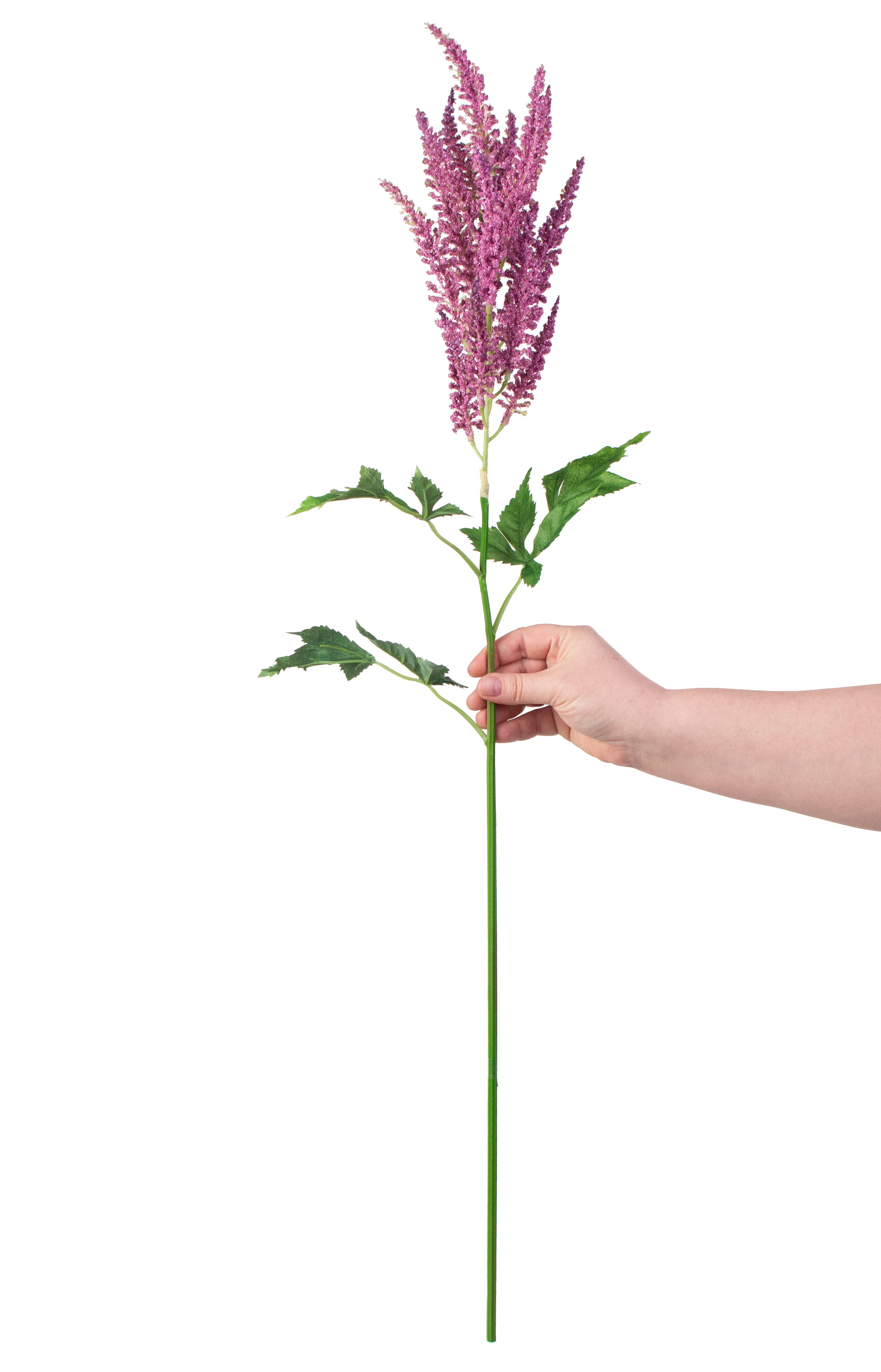 35" Astilbe Flower Spray: Lavender detail photo 3