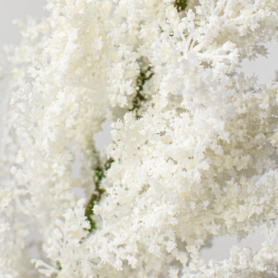 33" Astilbe Spray: Cream Lifestyle Photo