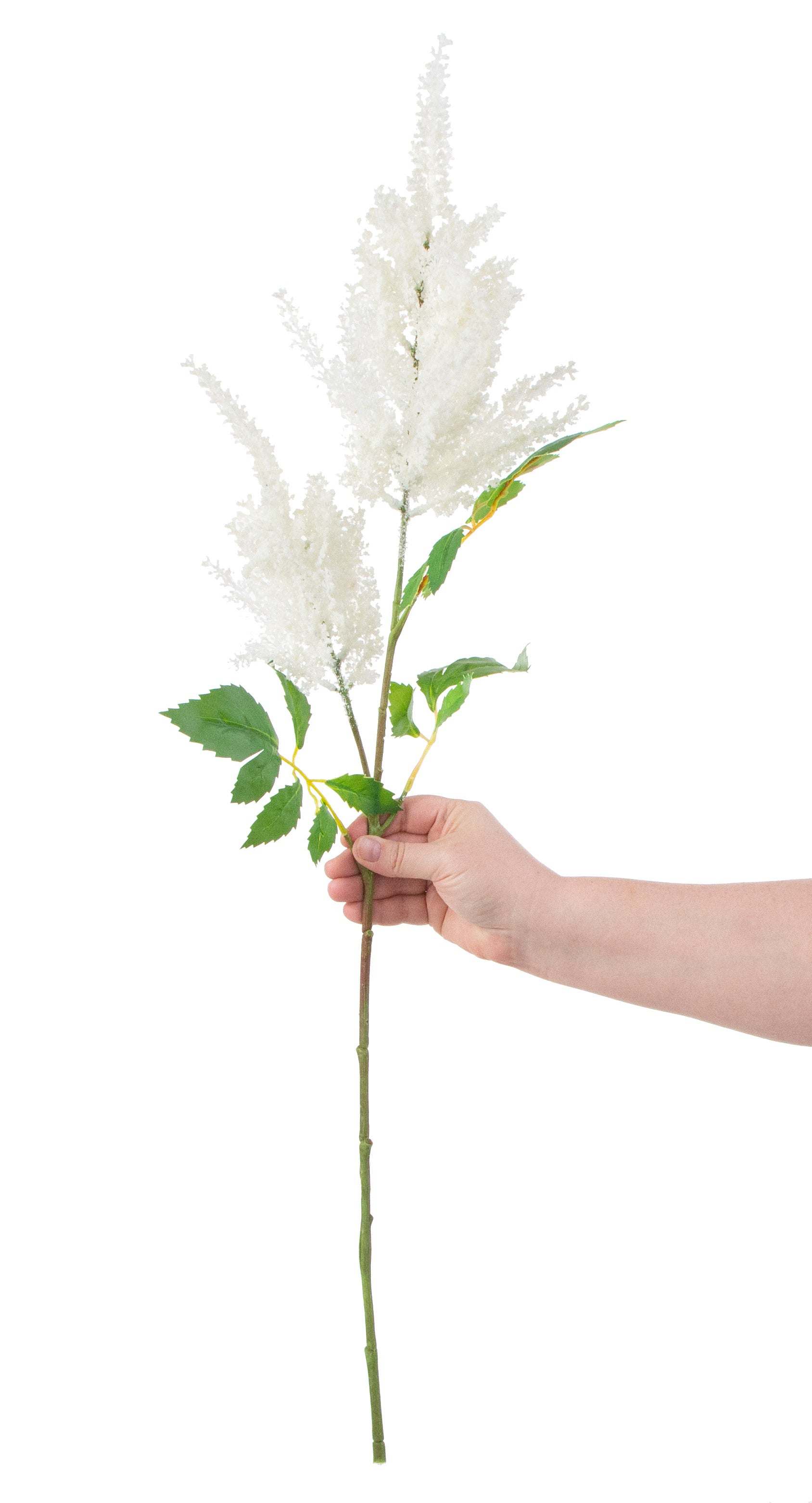33" Astilbe Spray: Cream detail photo 3