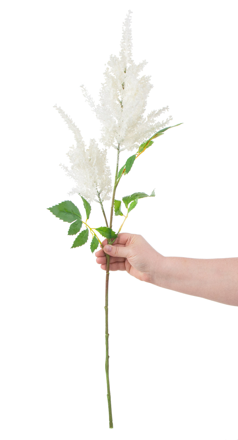 33" Astilbe Spray: Cream detail photo 3