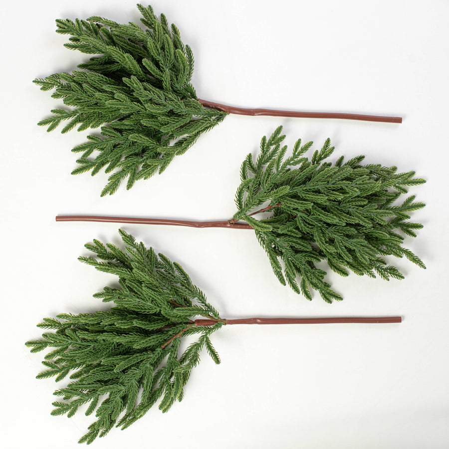 18" Norfolk Pine Spray Bundle: Dark Green