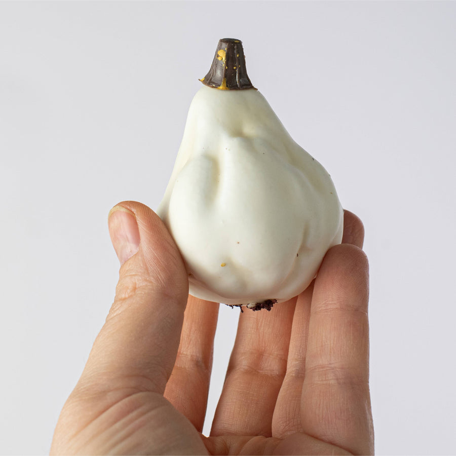 Assorted Mini Artificial Pumpkins & Gourds: White / Cream (Bag of 12)