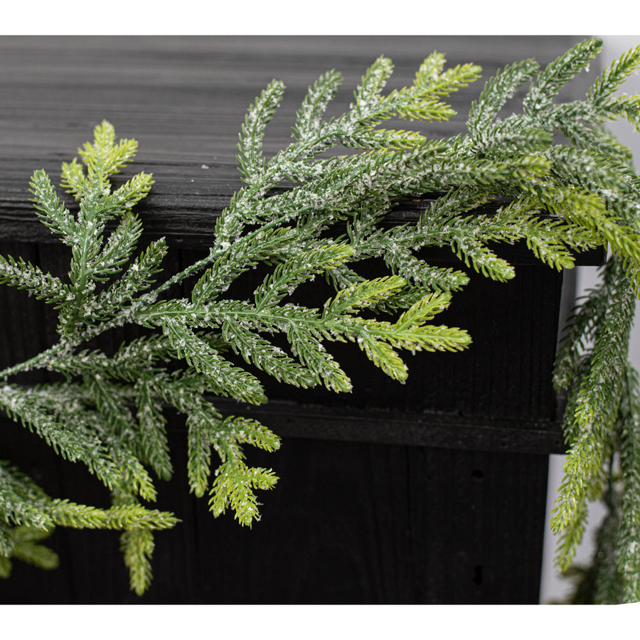 6' Frosted Value Northfolk Pine Garland