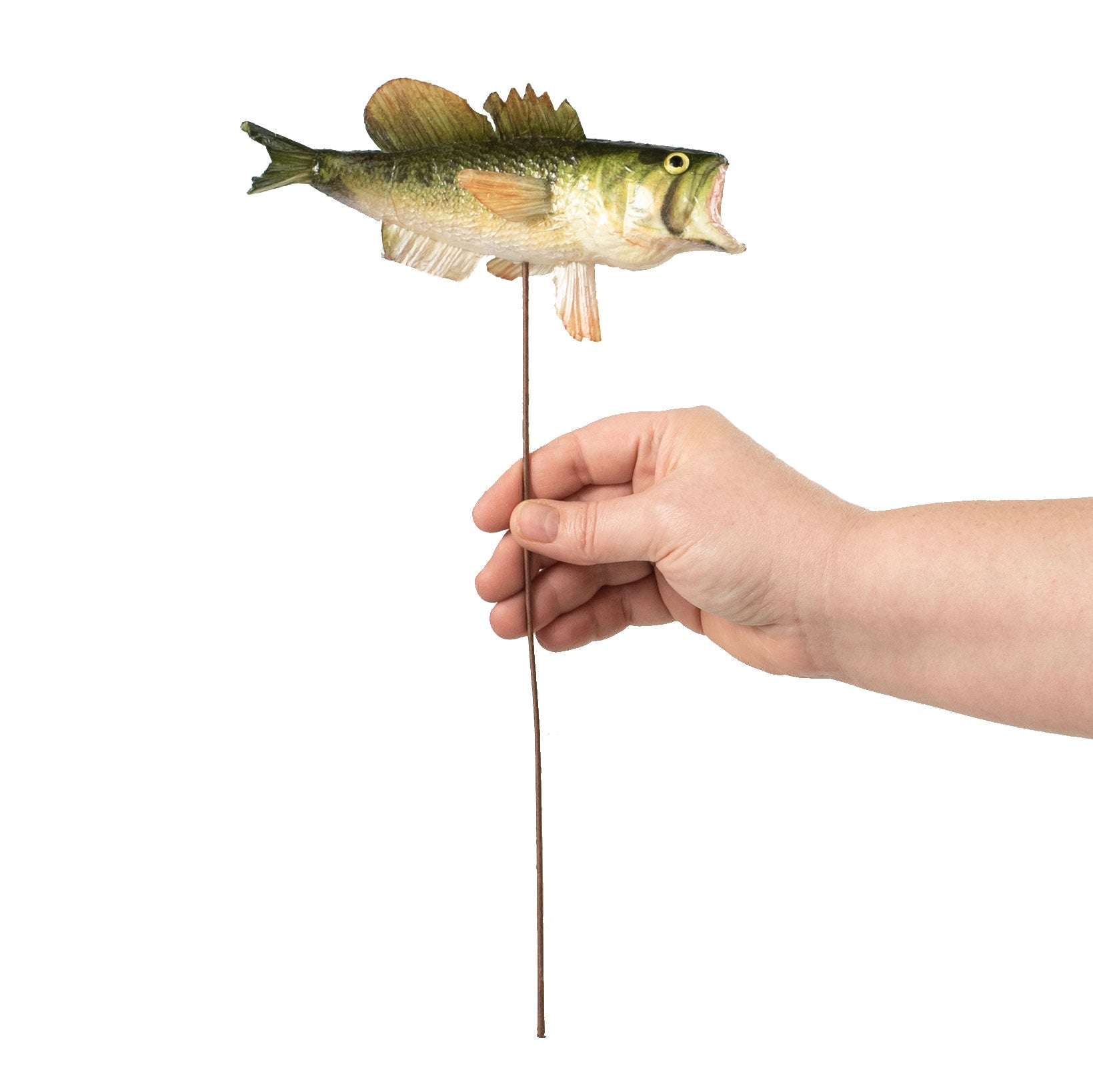 7" Bass Pick Lifestyle Photo