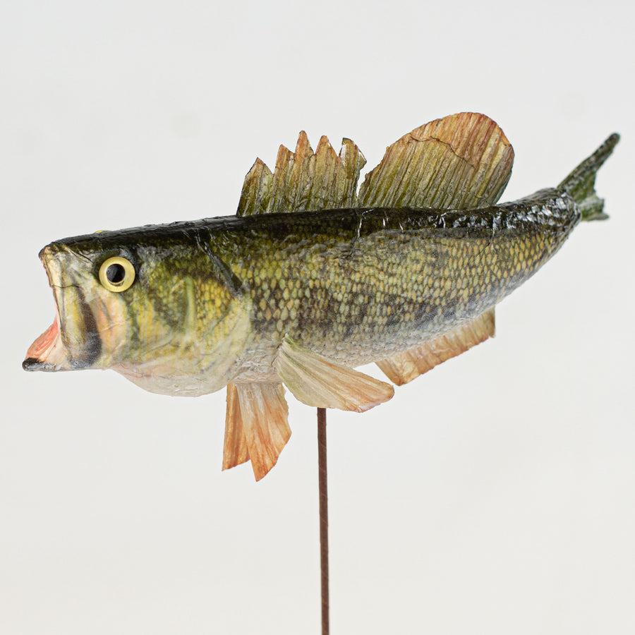 7" Bass Pick detail photo 3