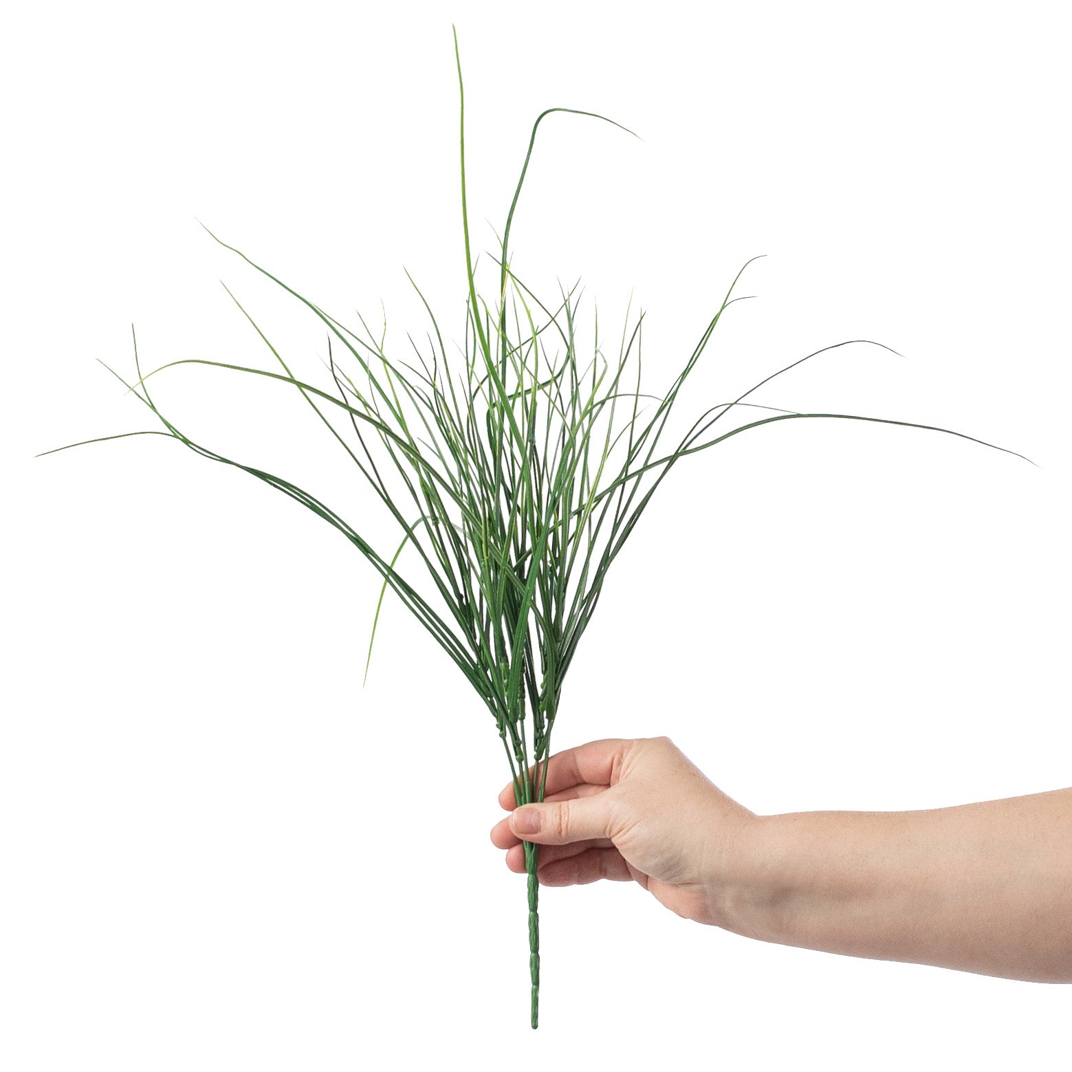 20" Bear Grass Bush detail photo 3
